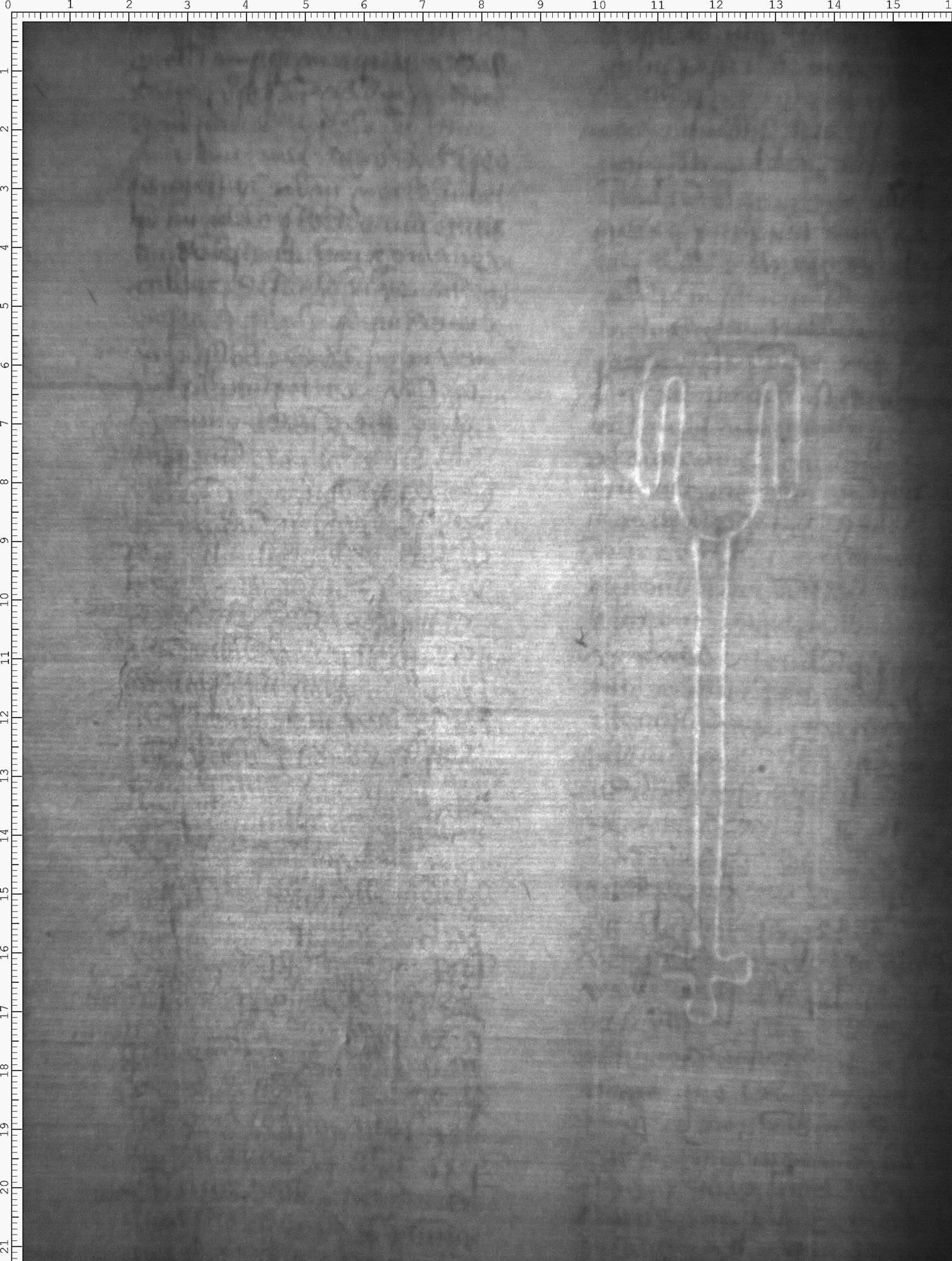 Watermark