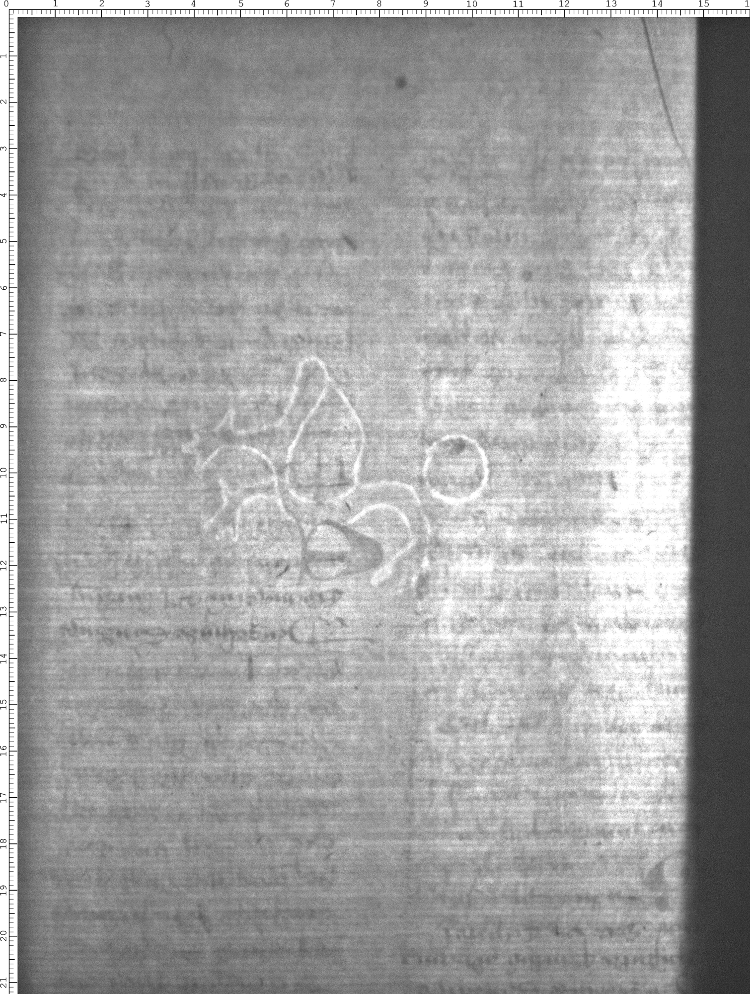 Watermark