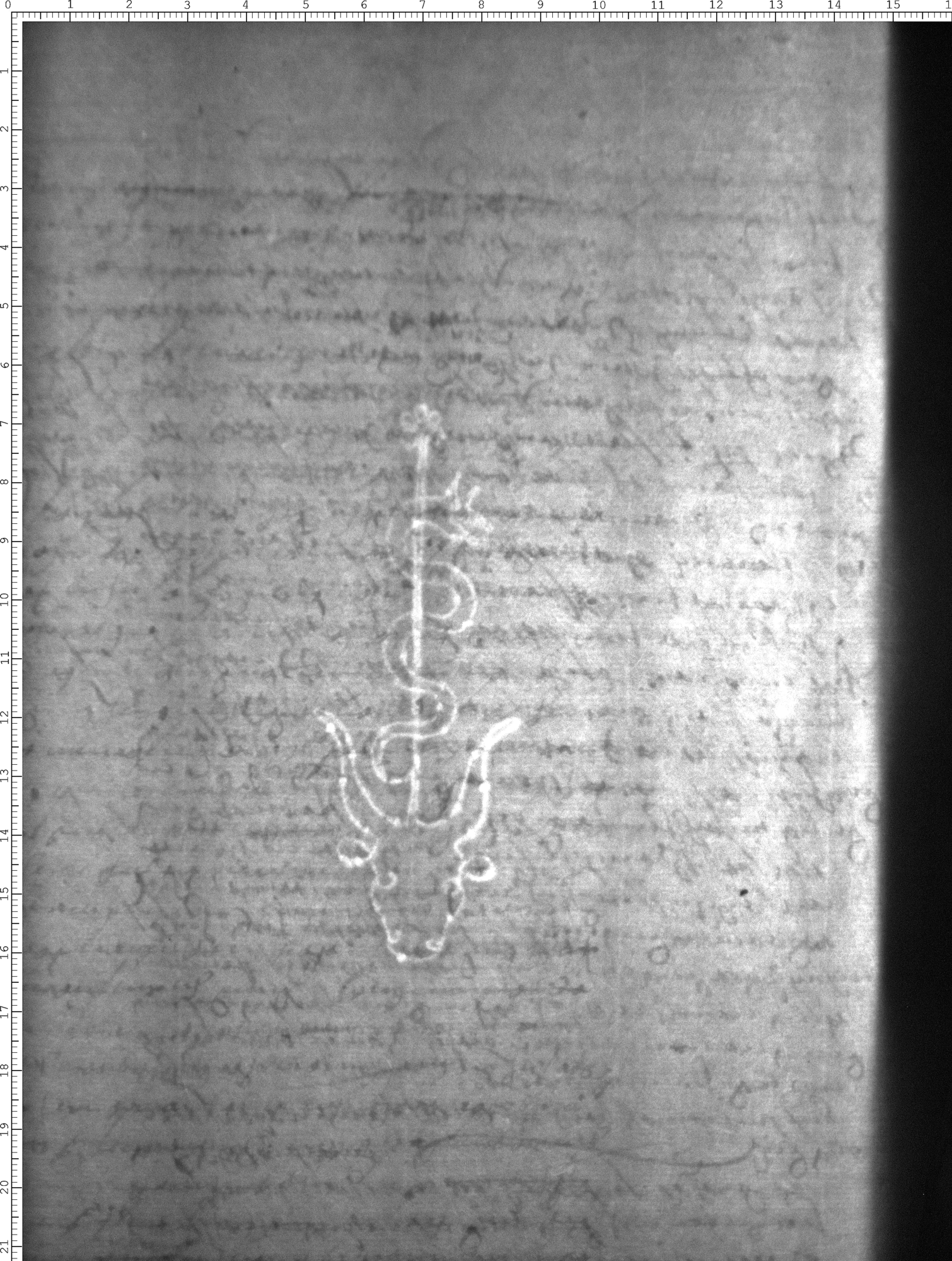 Watermark