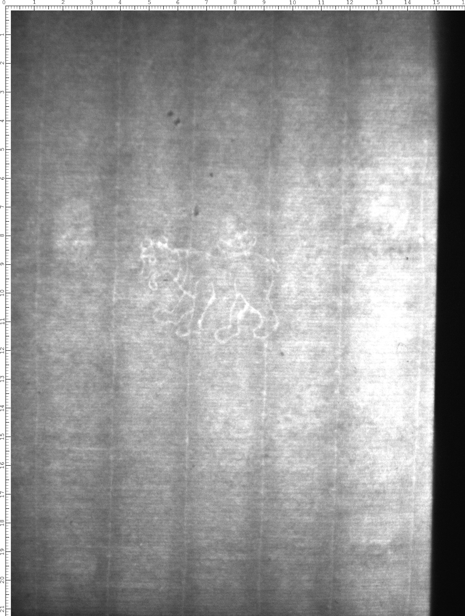 Watermark