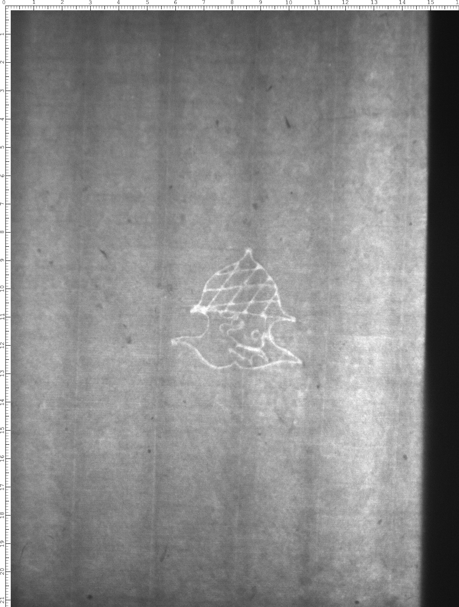Watermark