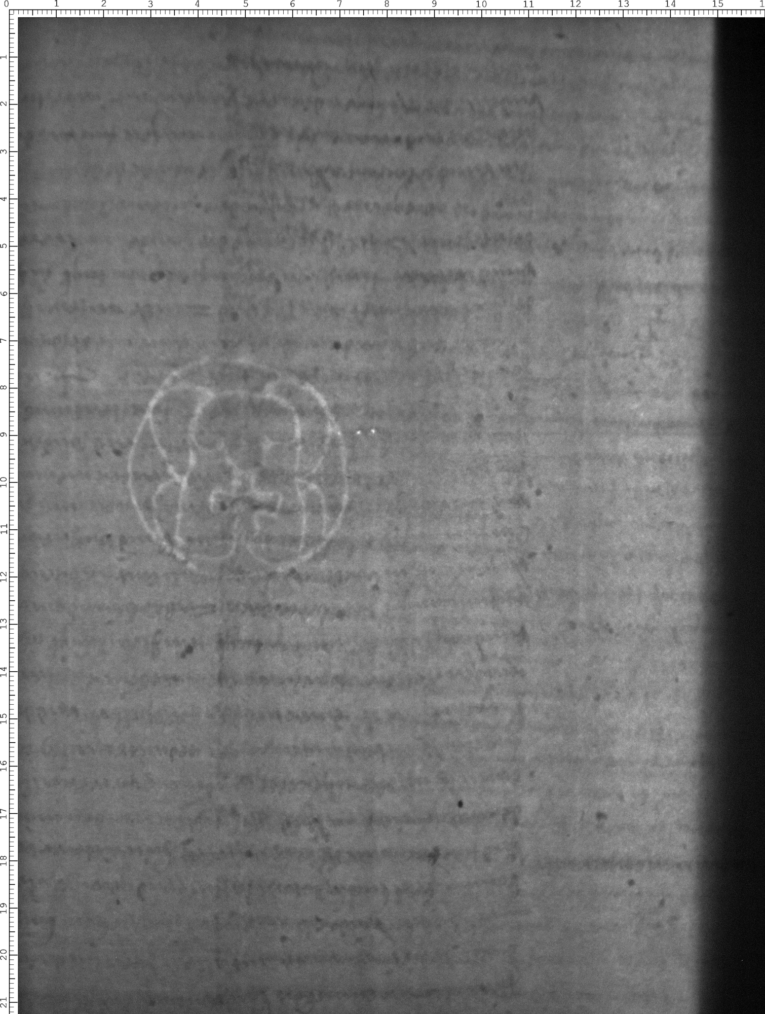 Watermark