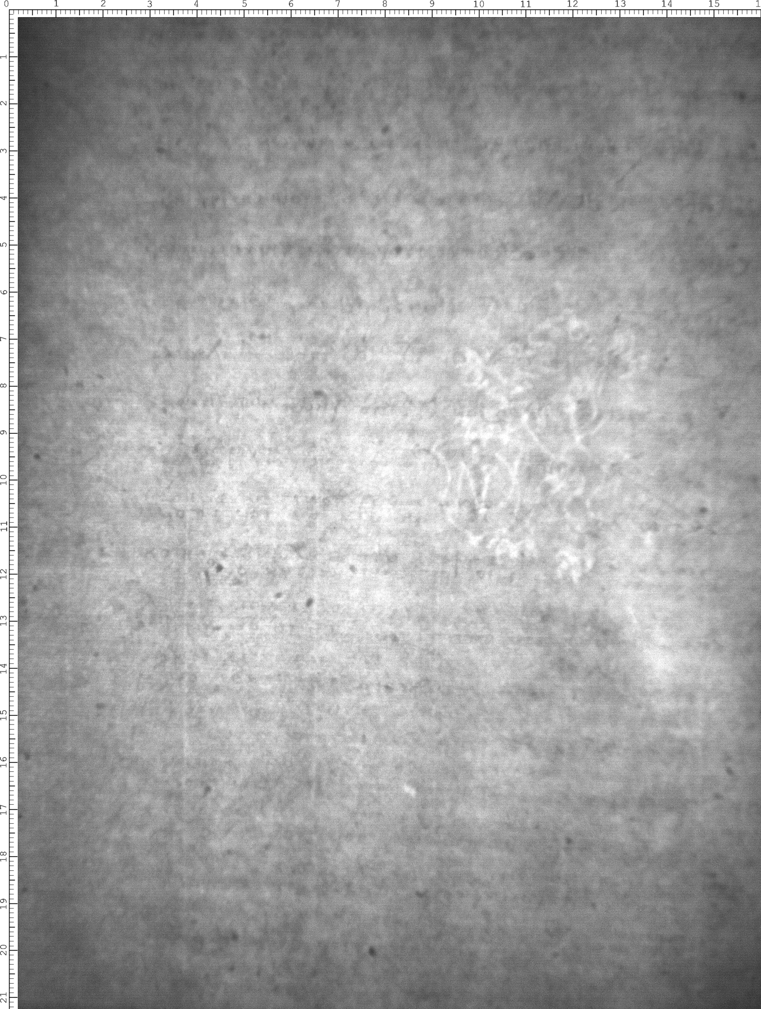 Watermark