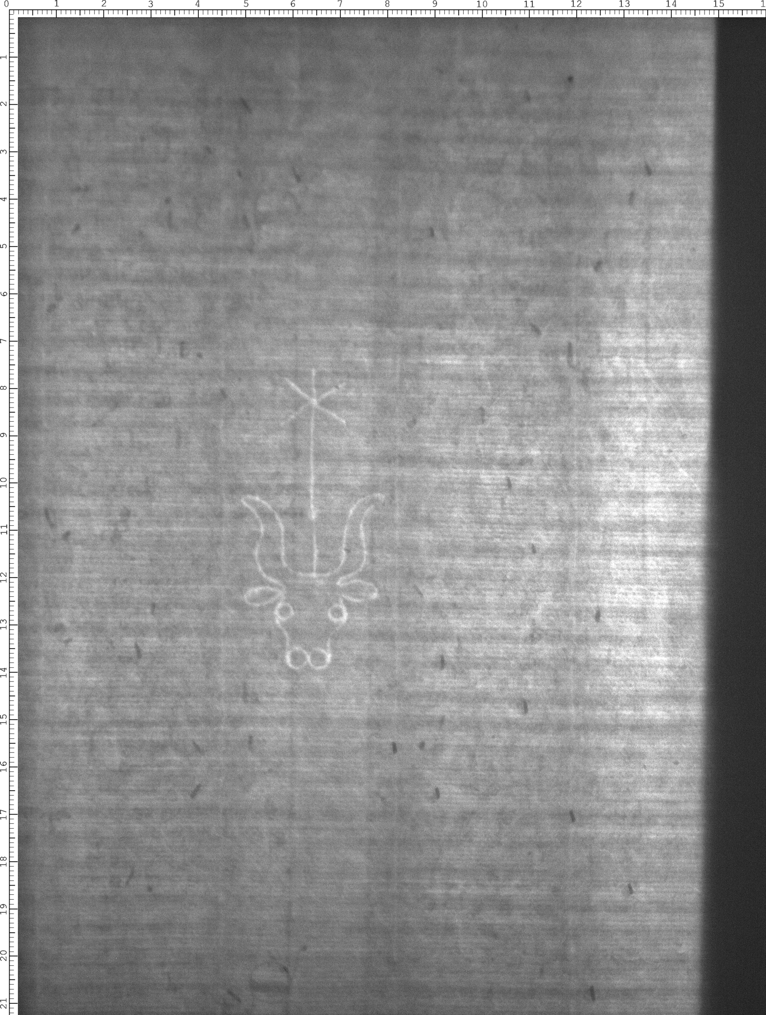 Watermark