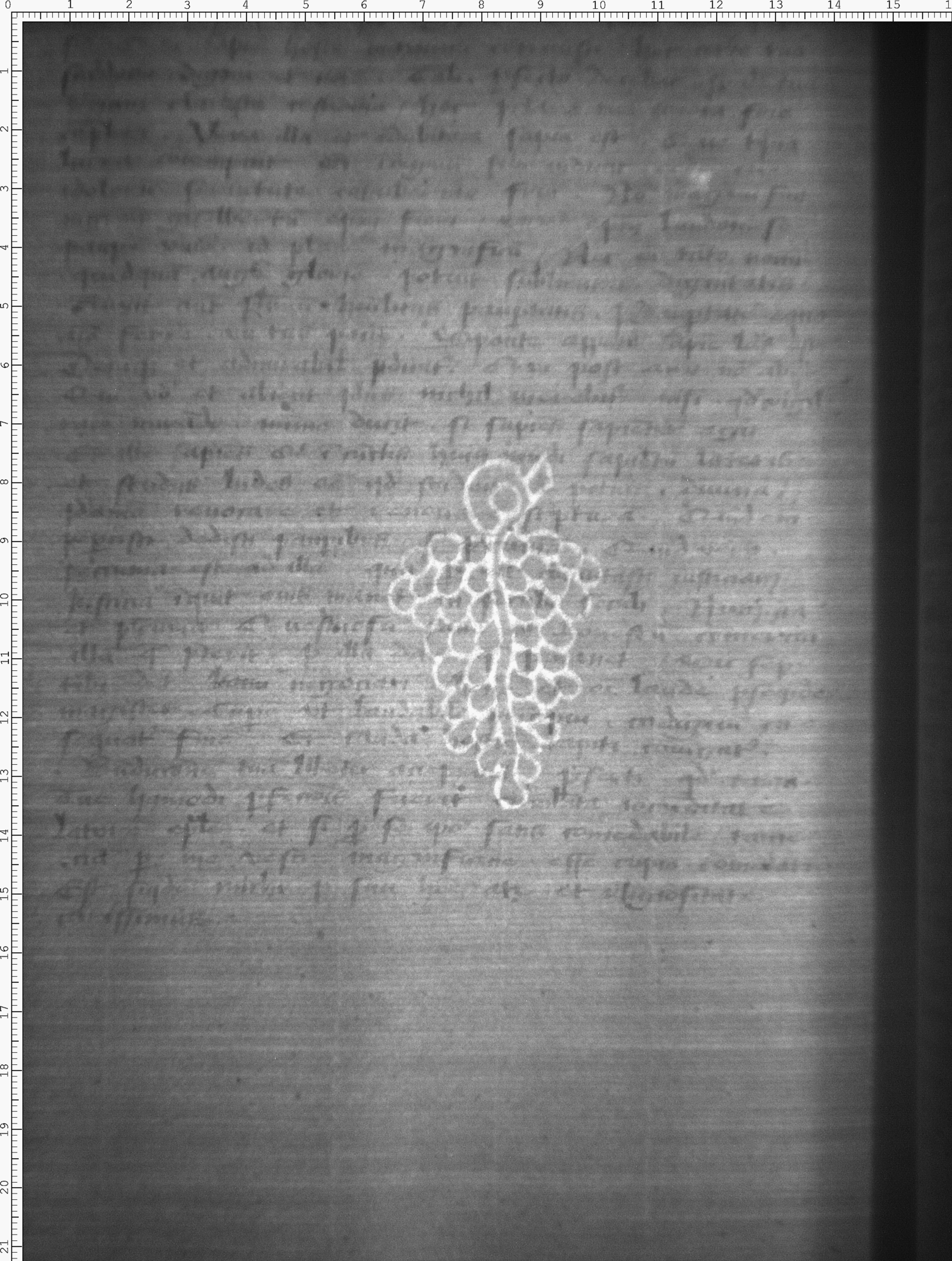 Watermark
