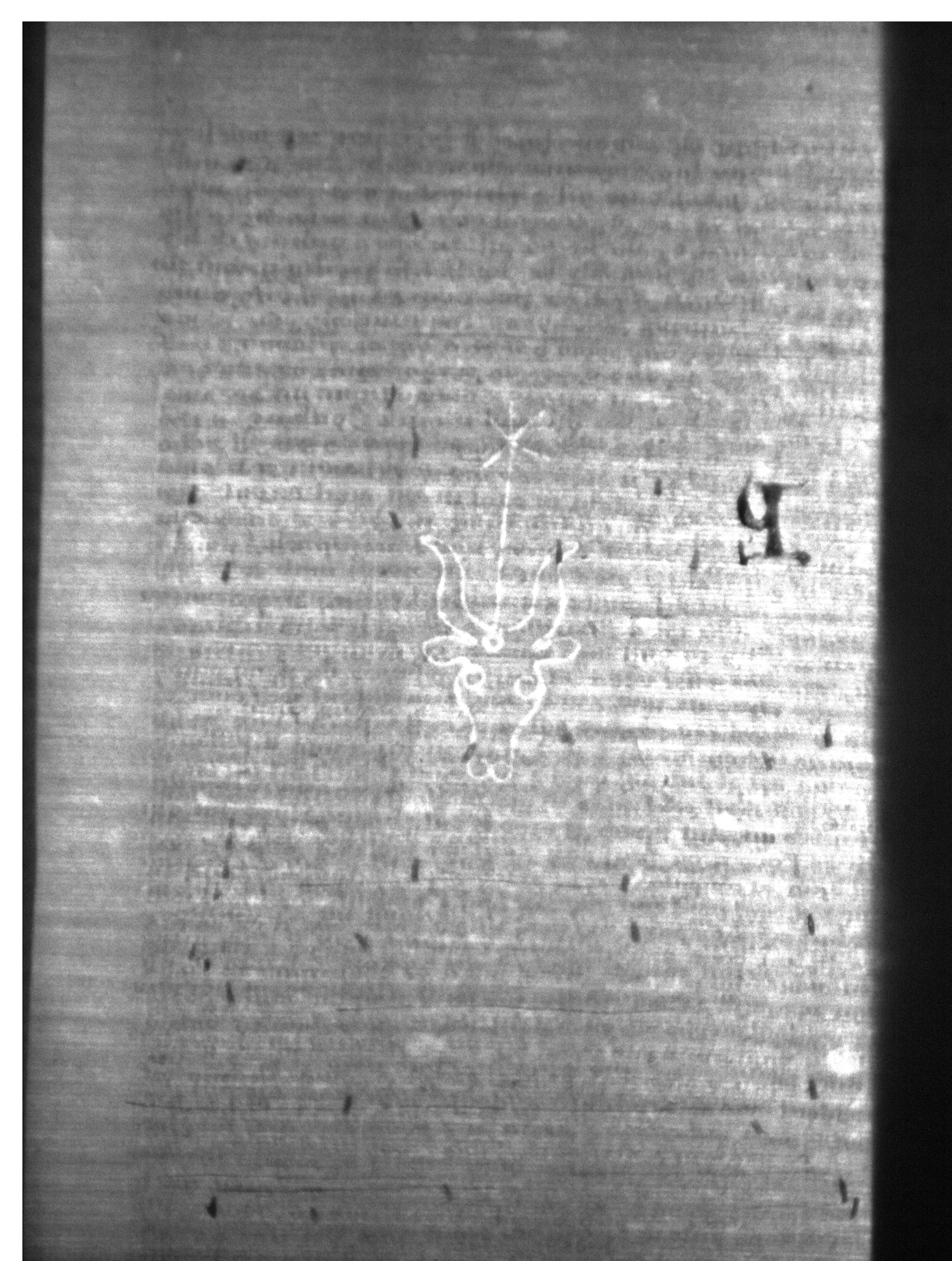 Watermark