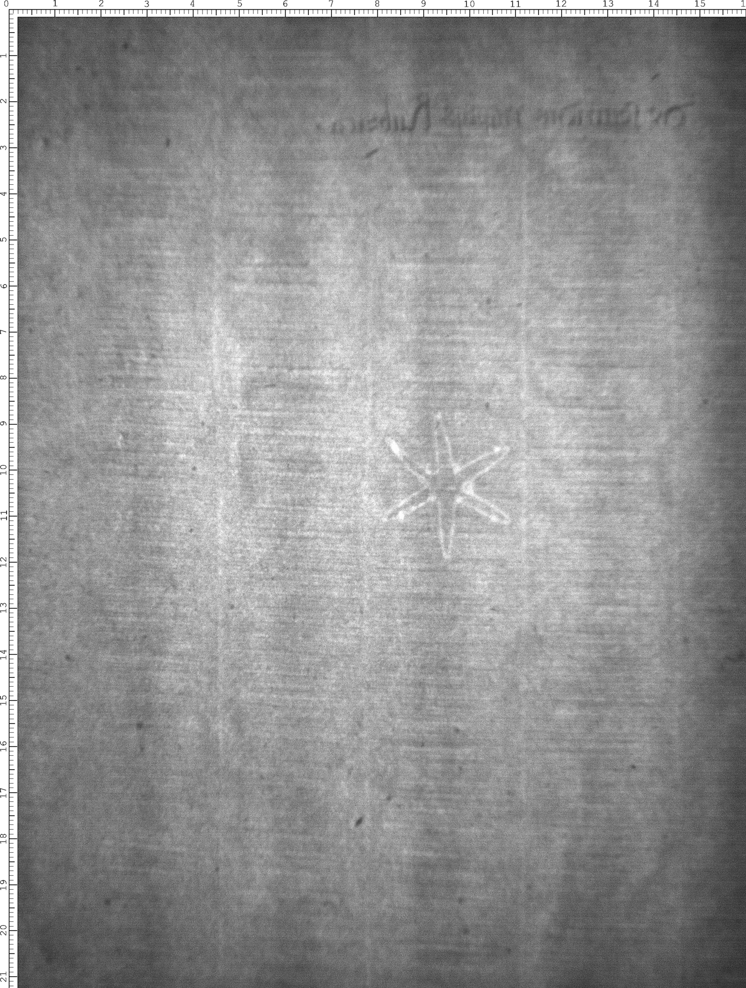 Watermark
