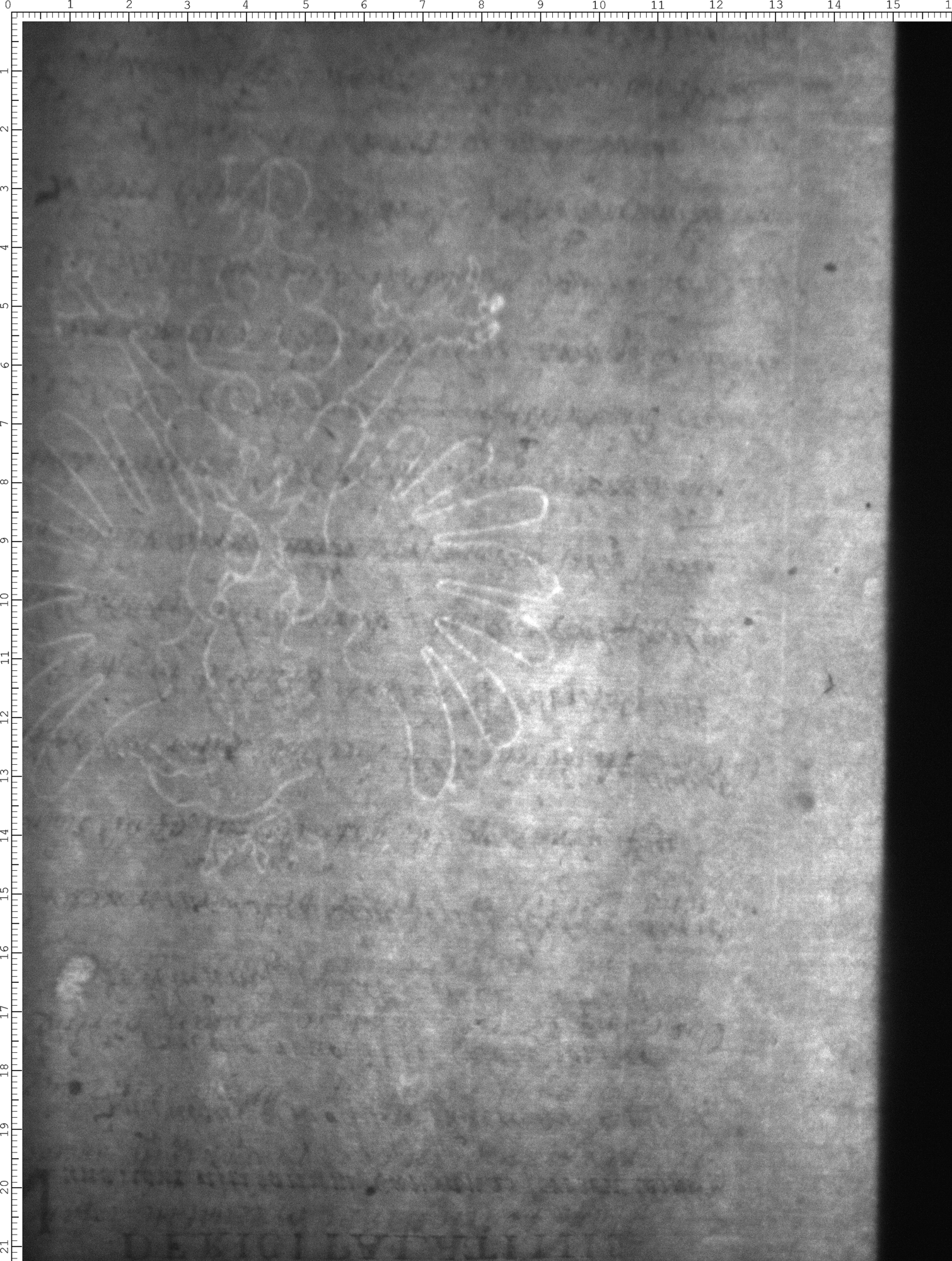 Watermark