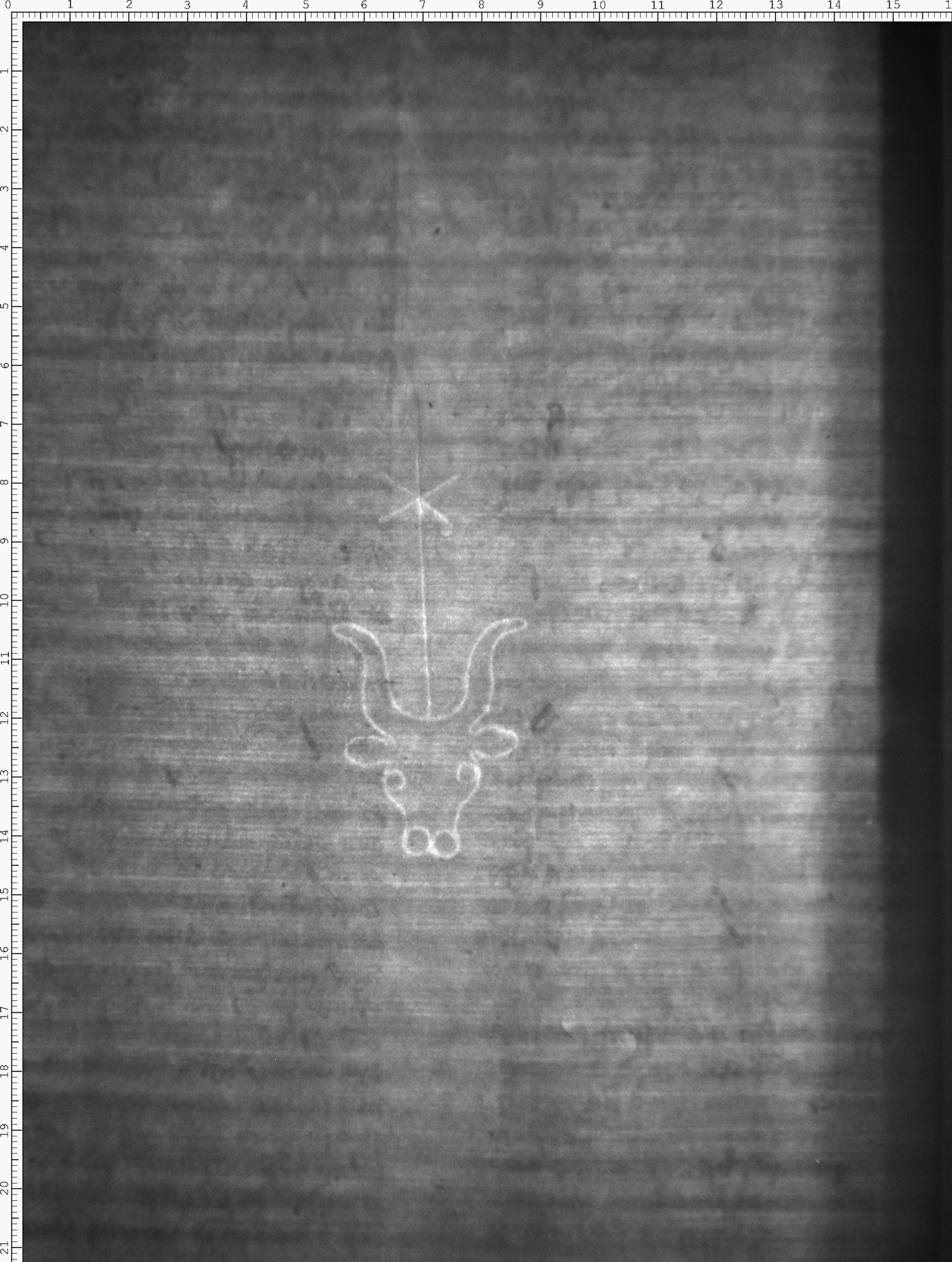 Watermark