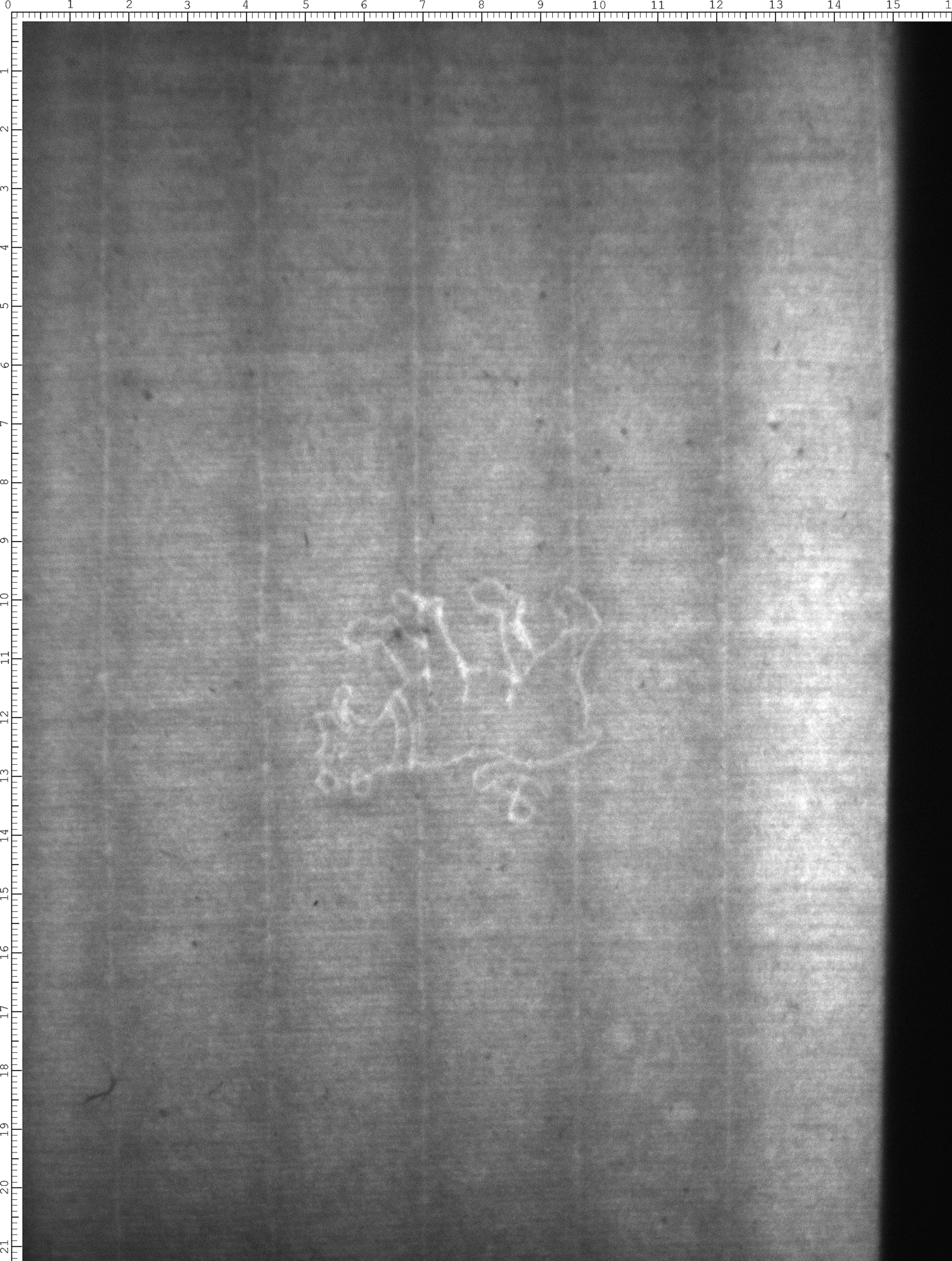 Watermark