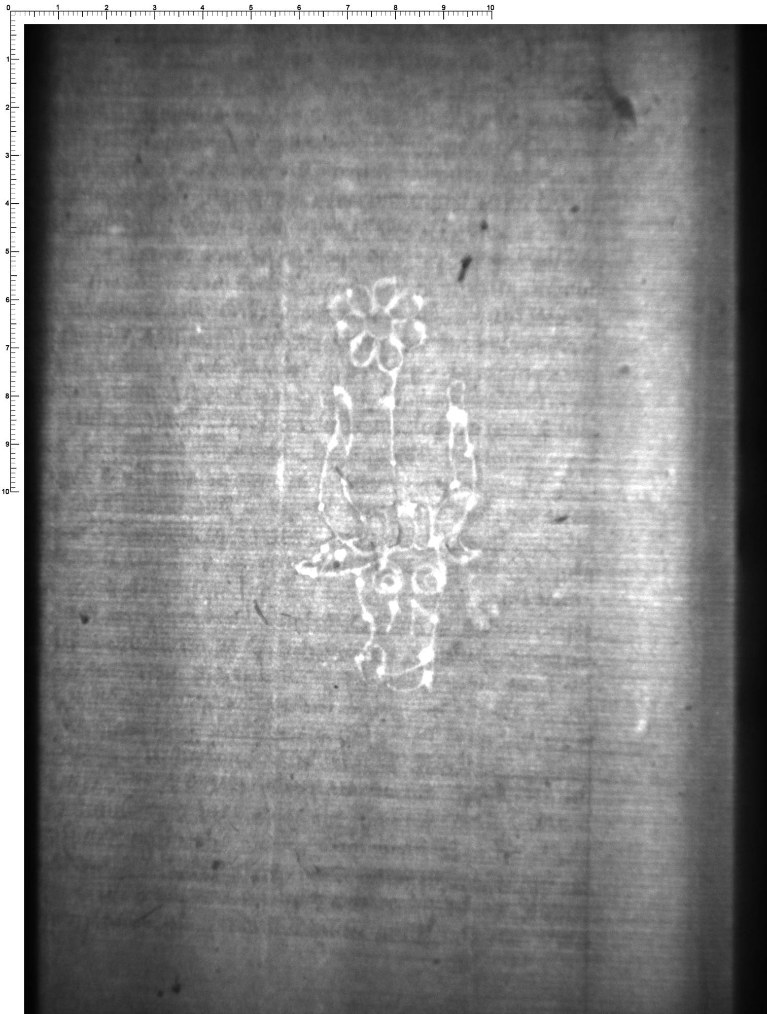 Watermark
