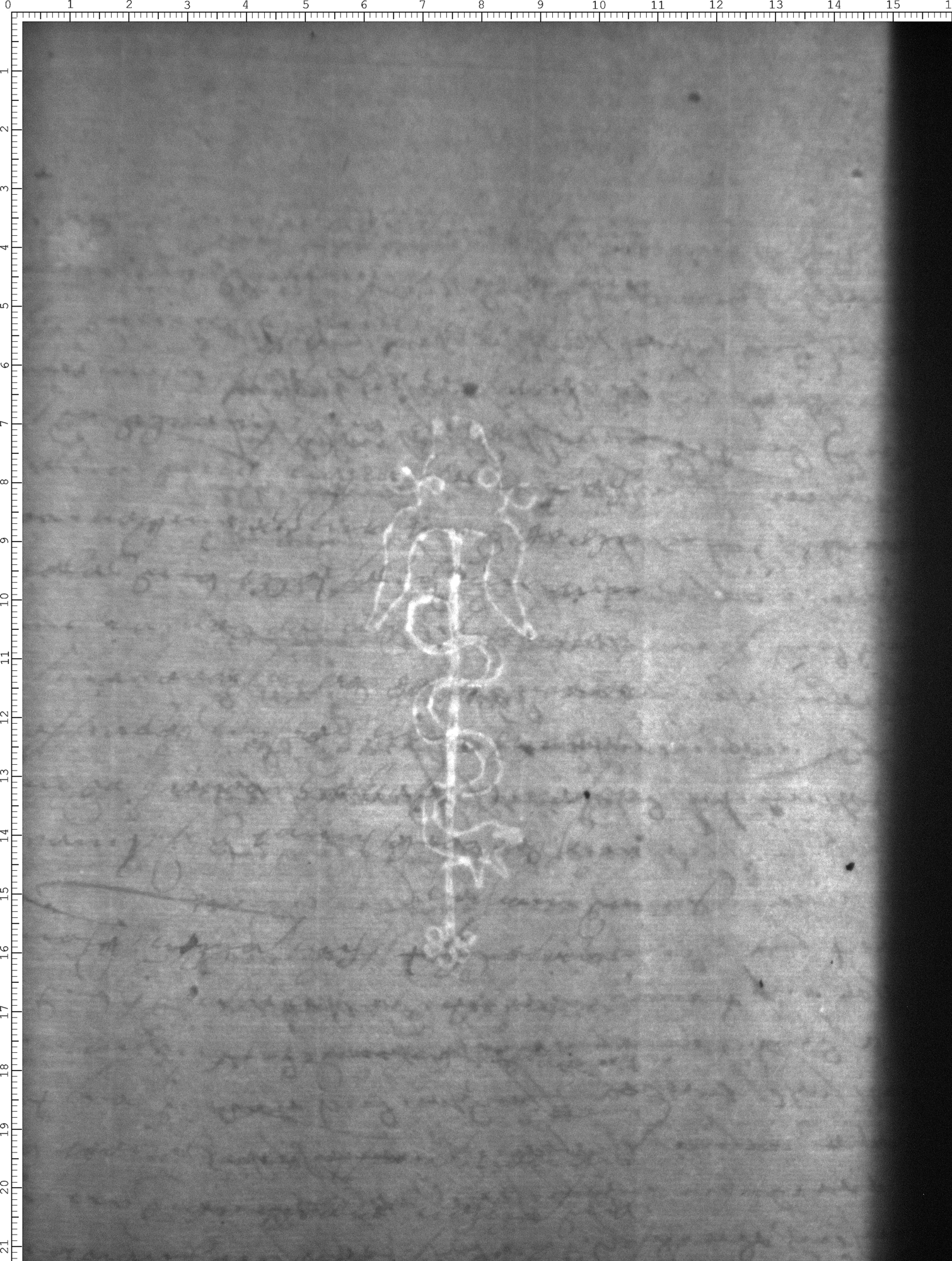 Watermark