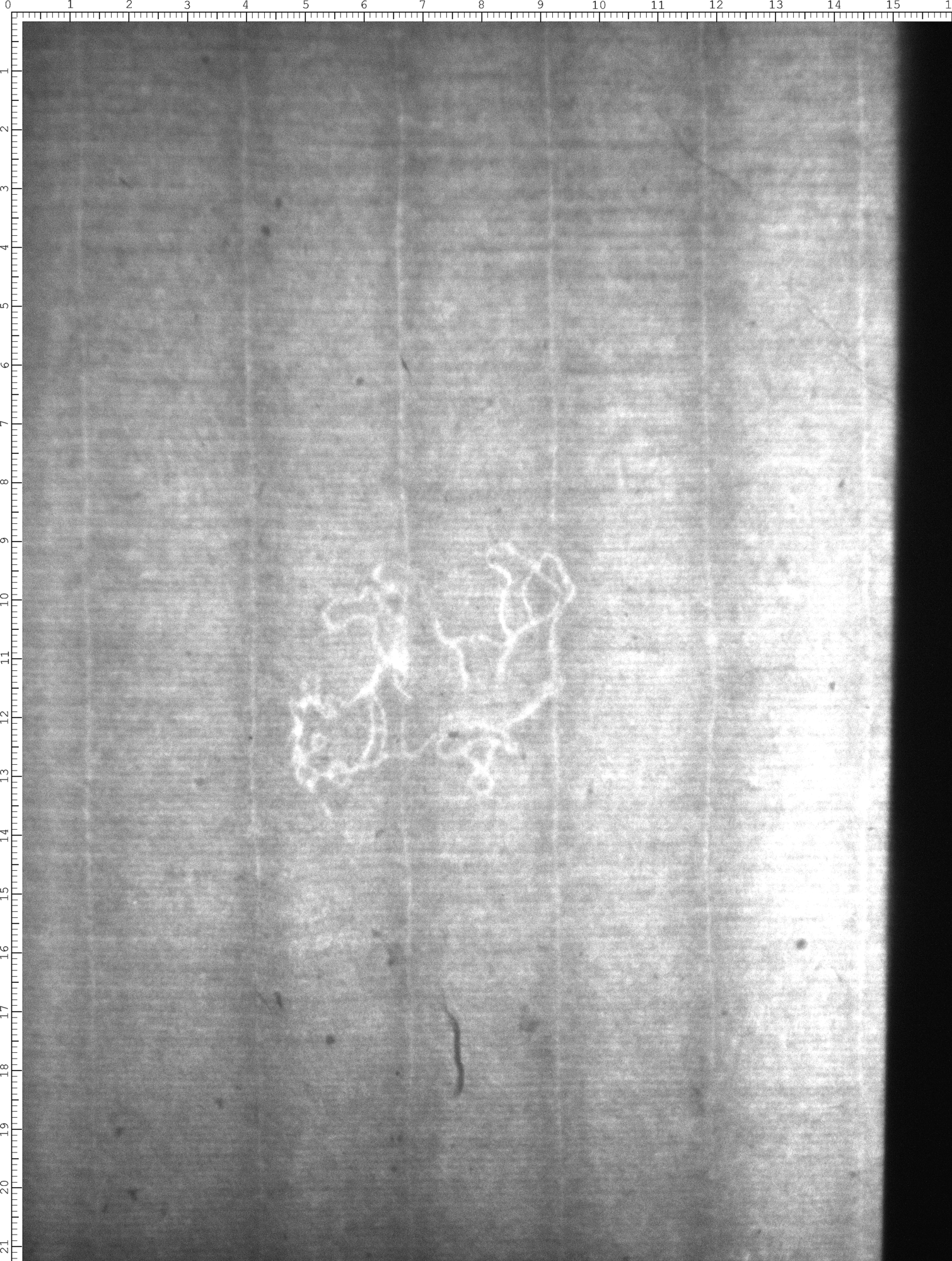 Watermark