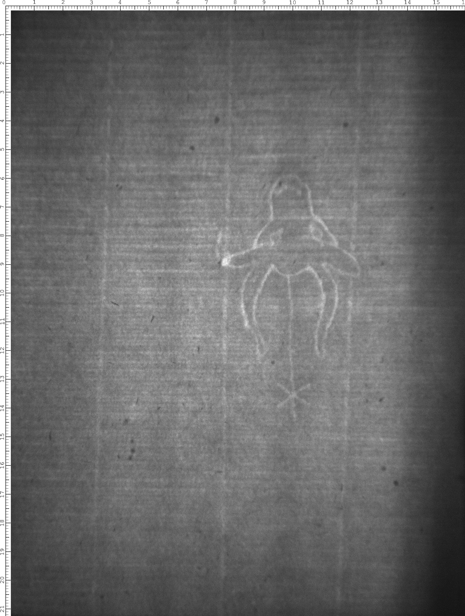 Watermark
