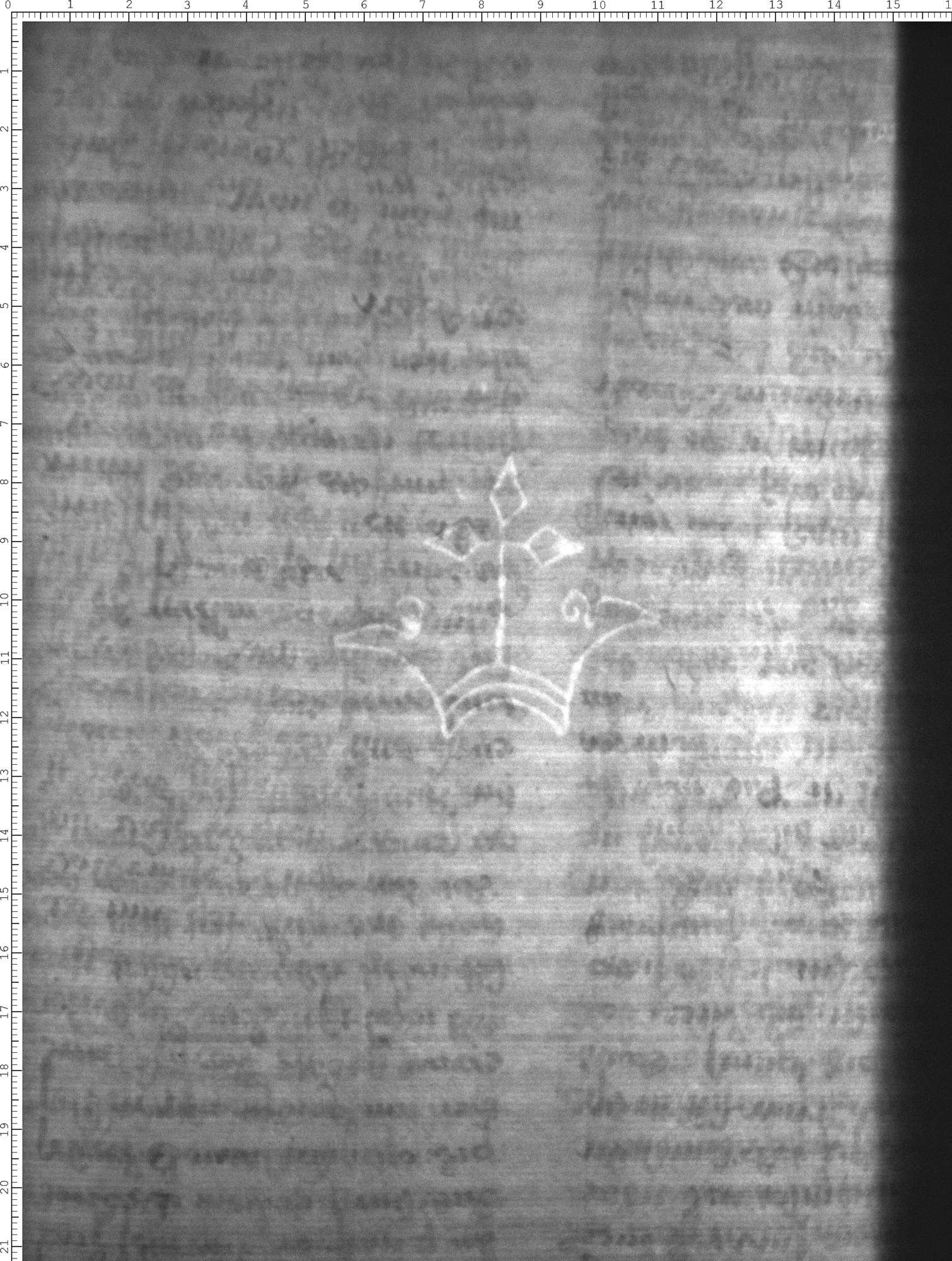 Watermark