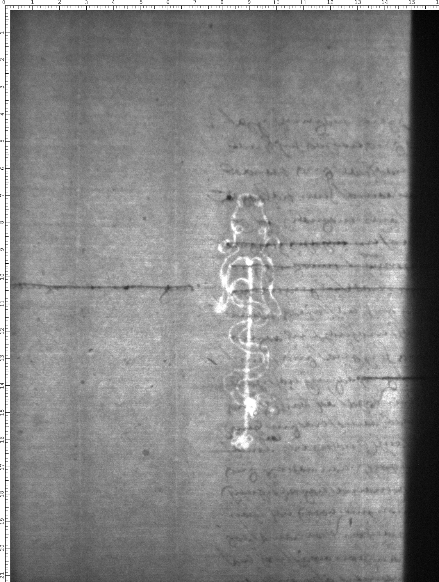 Watermark
