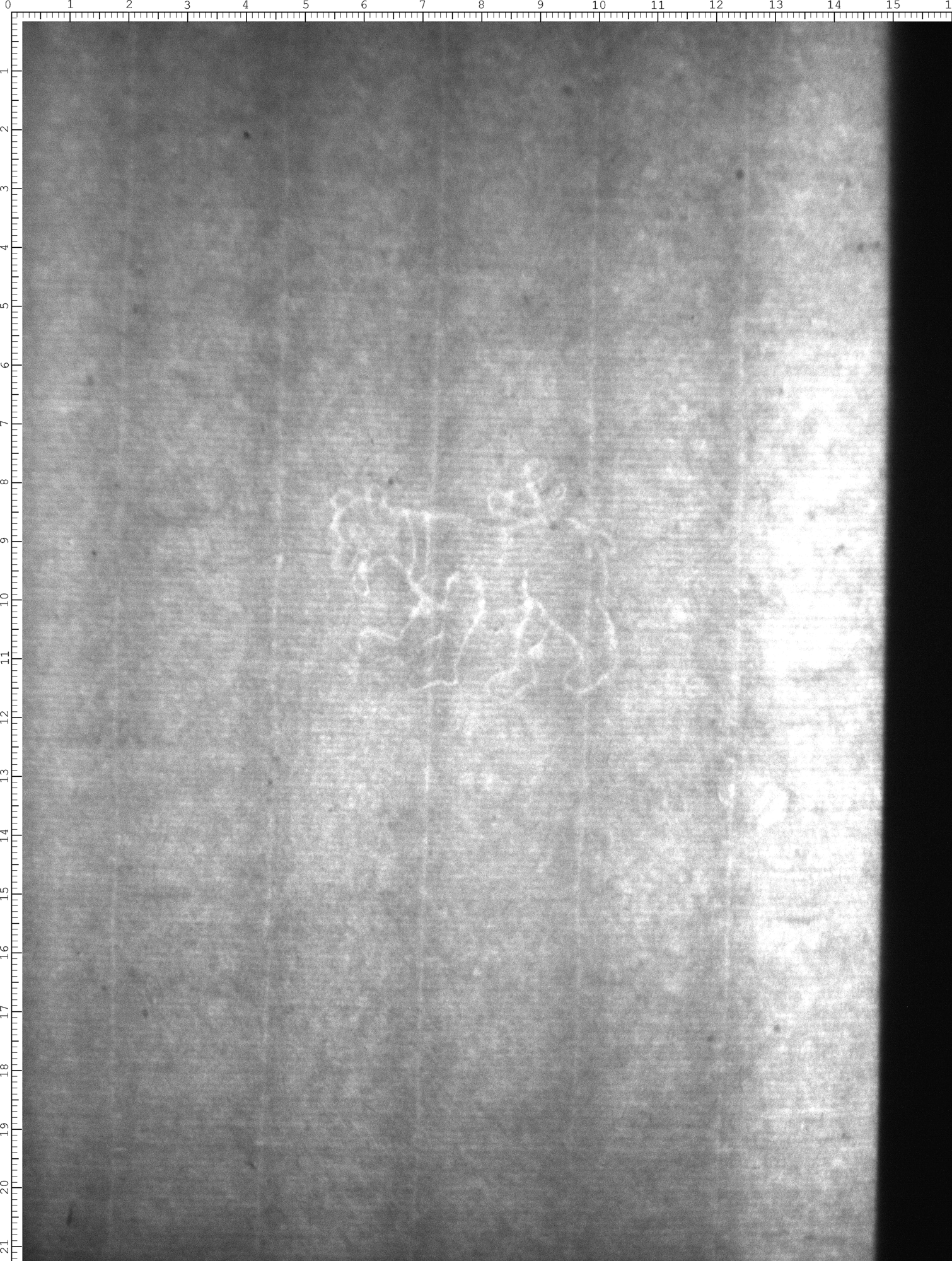 Watermark