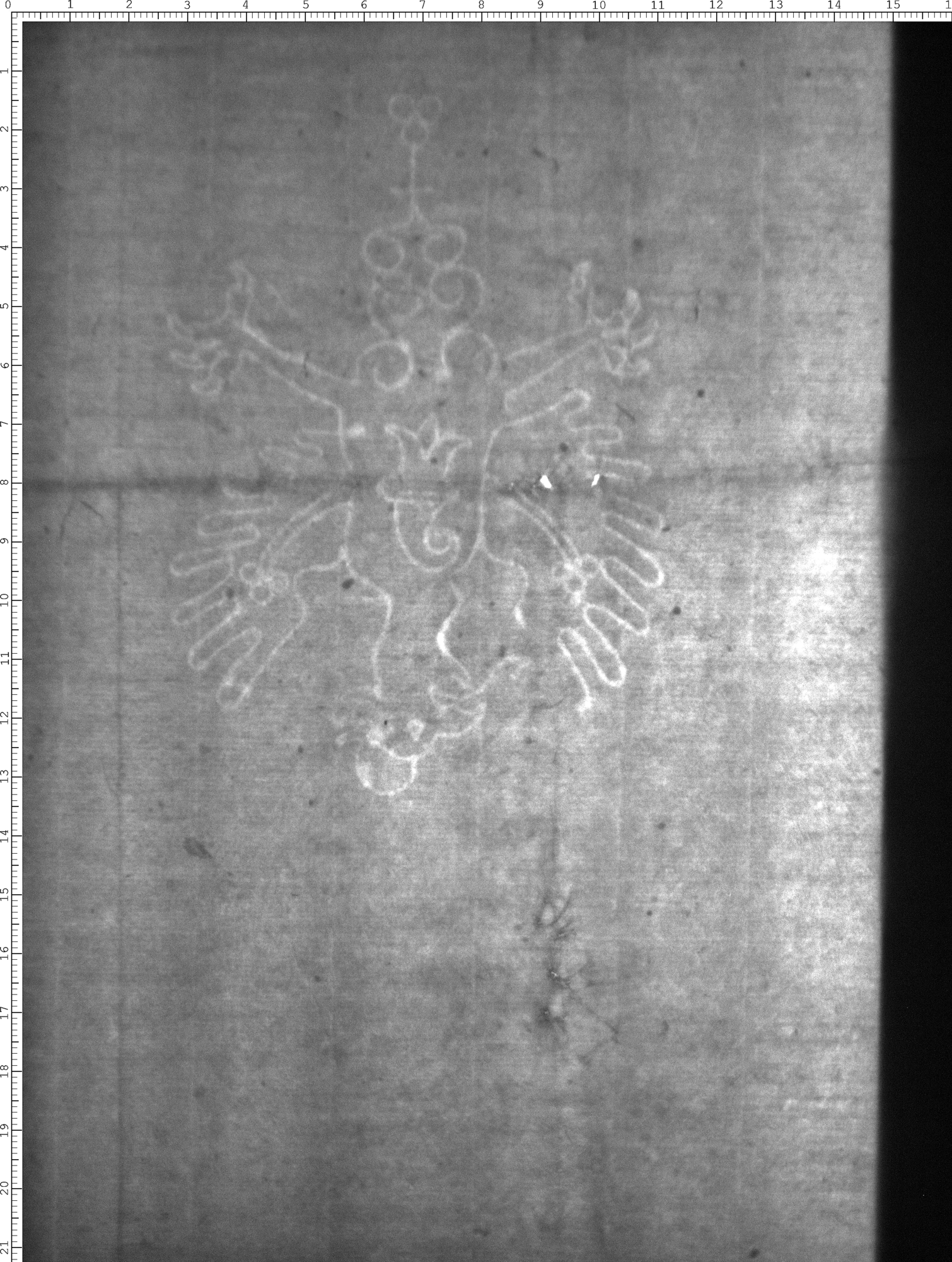 Watermark