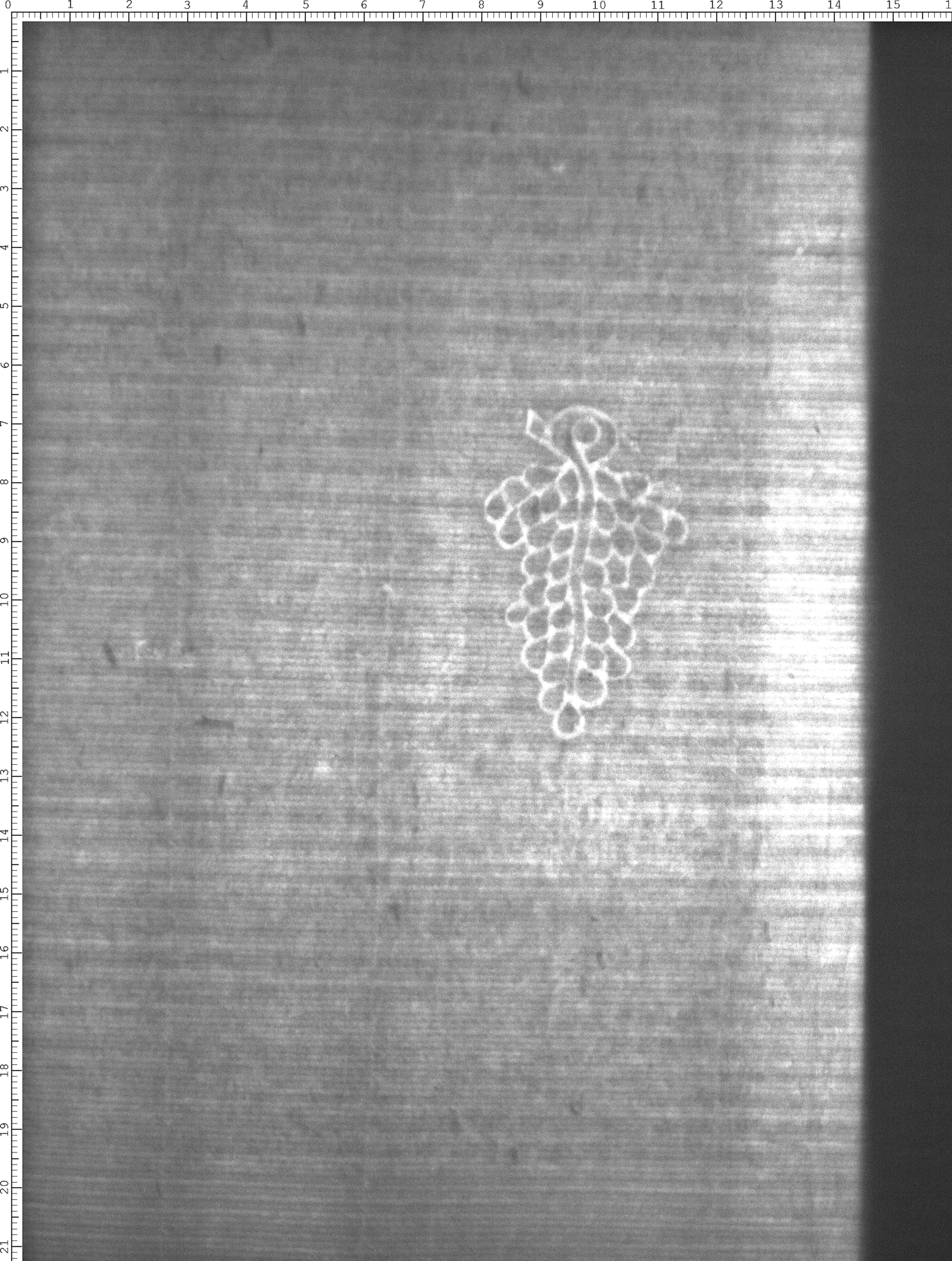 Watermark