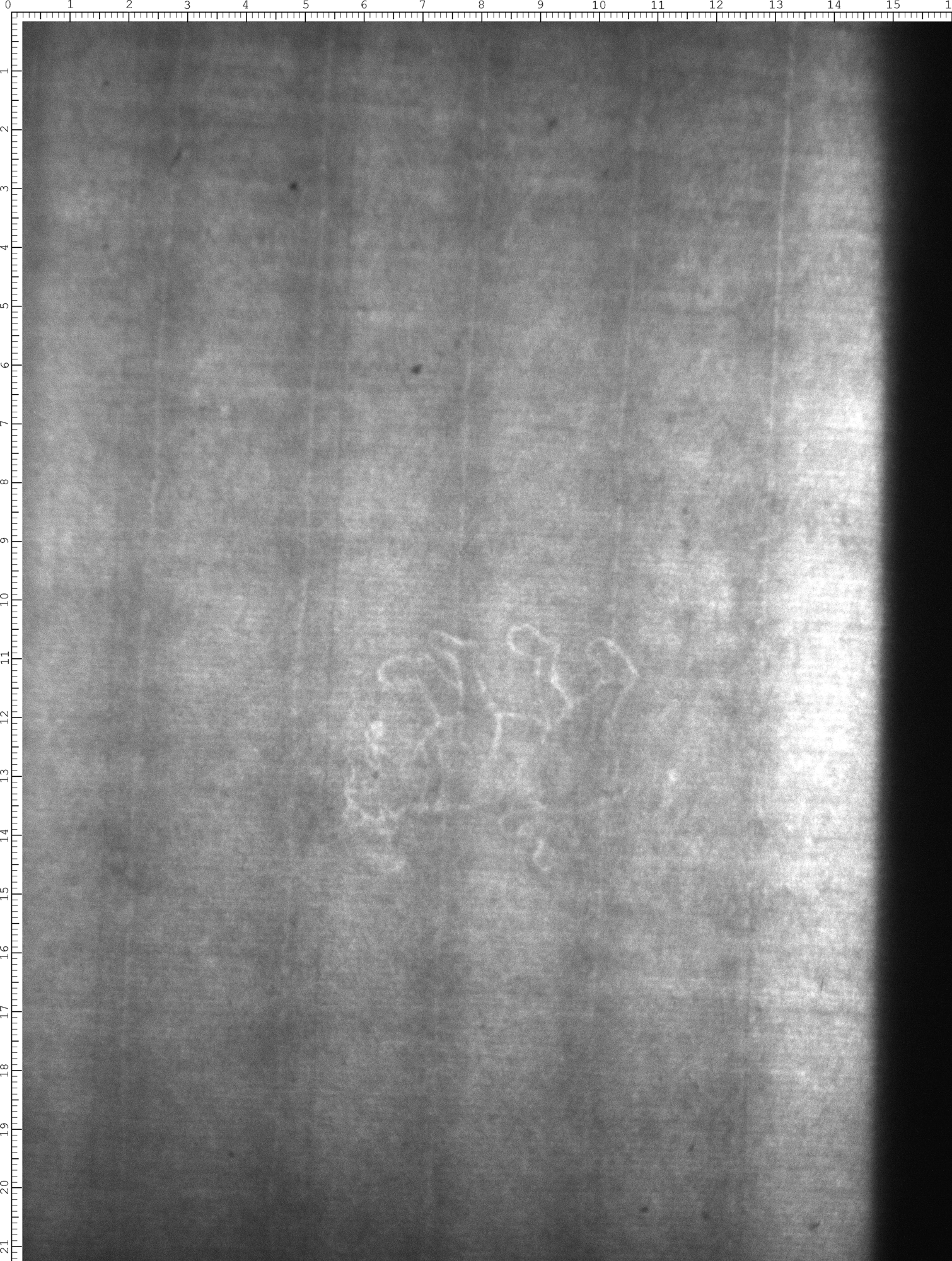 Watermark