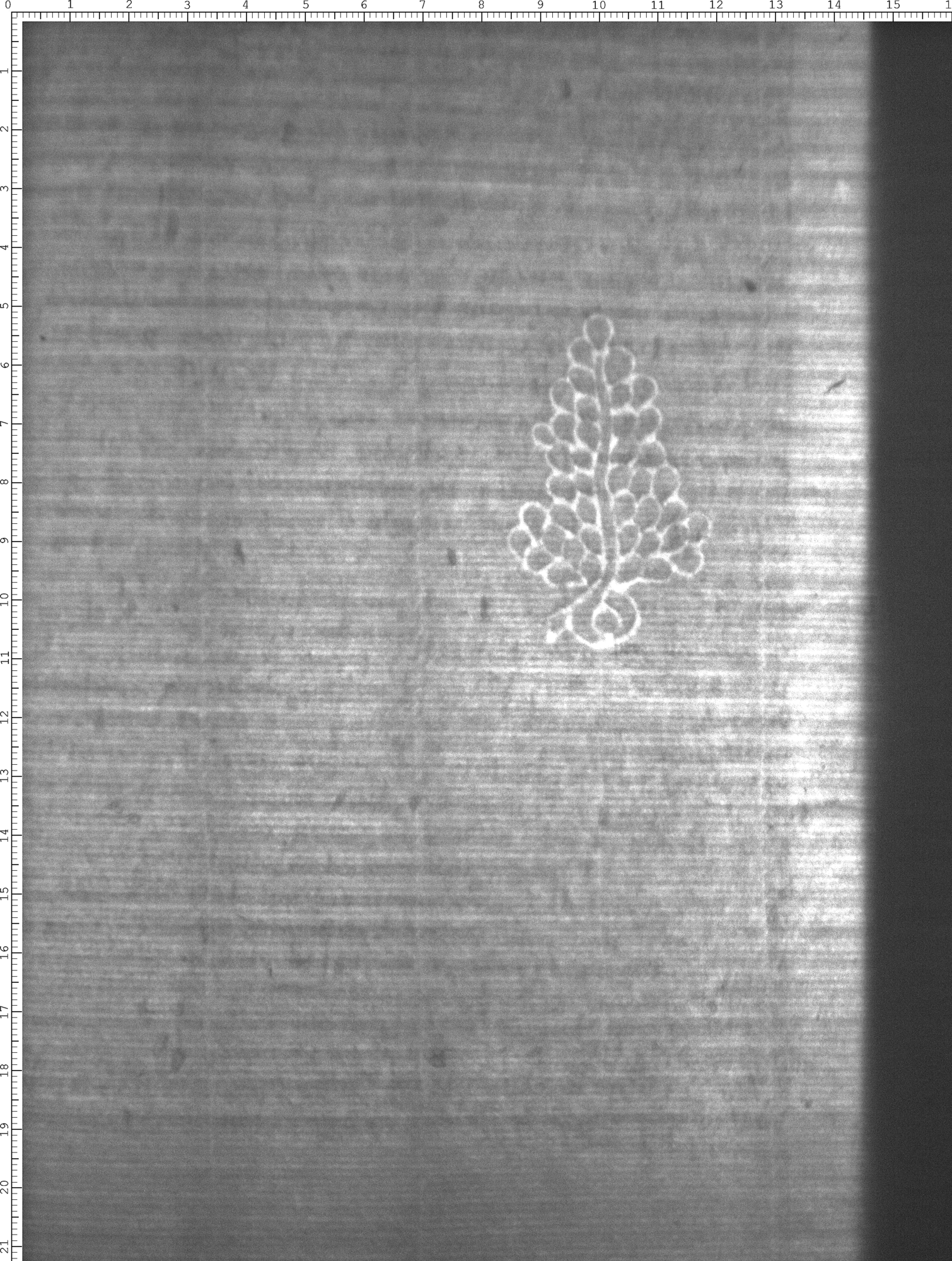 Watermark