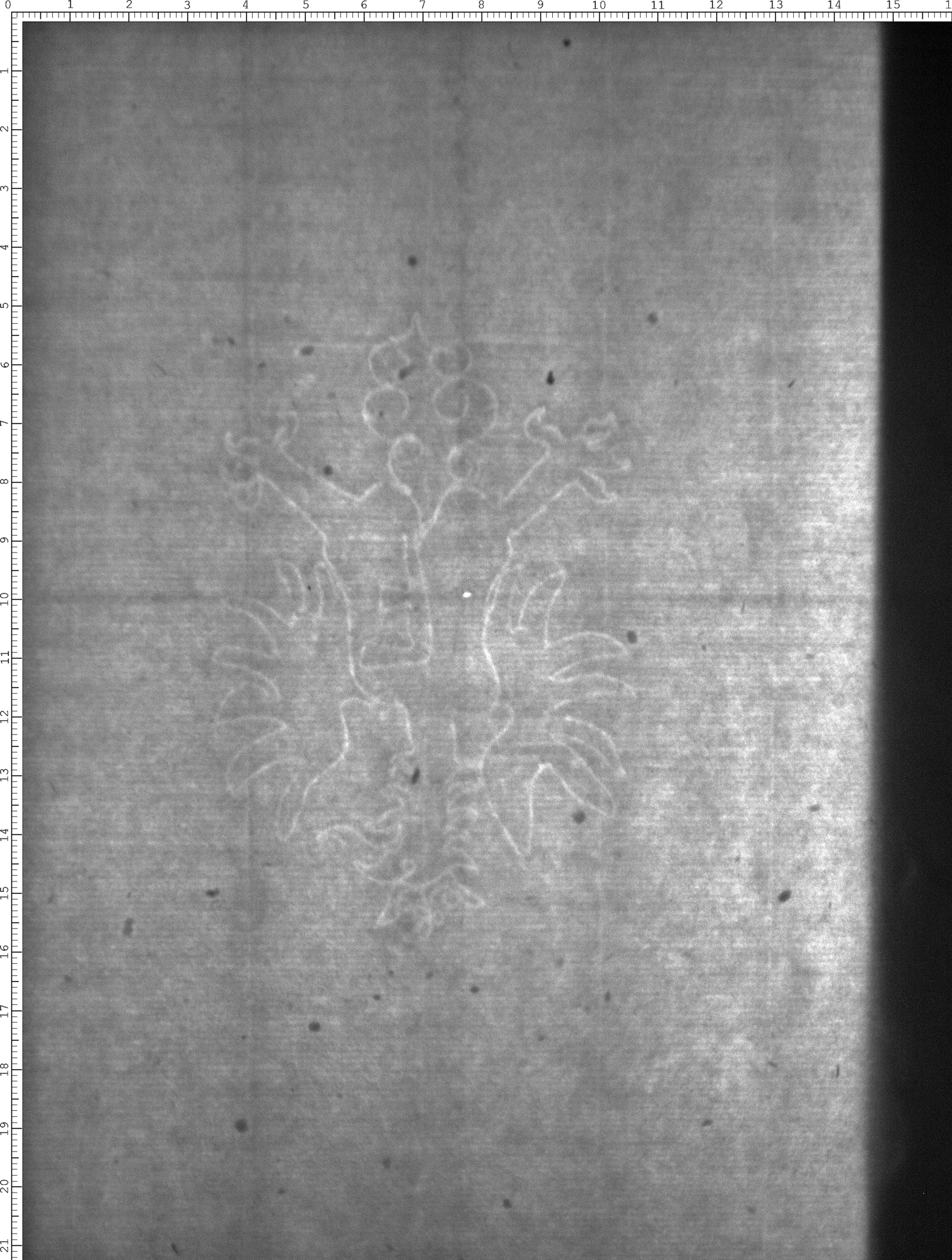 Watermark