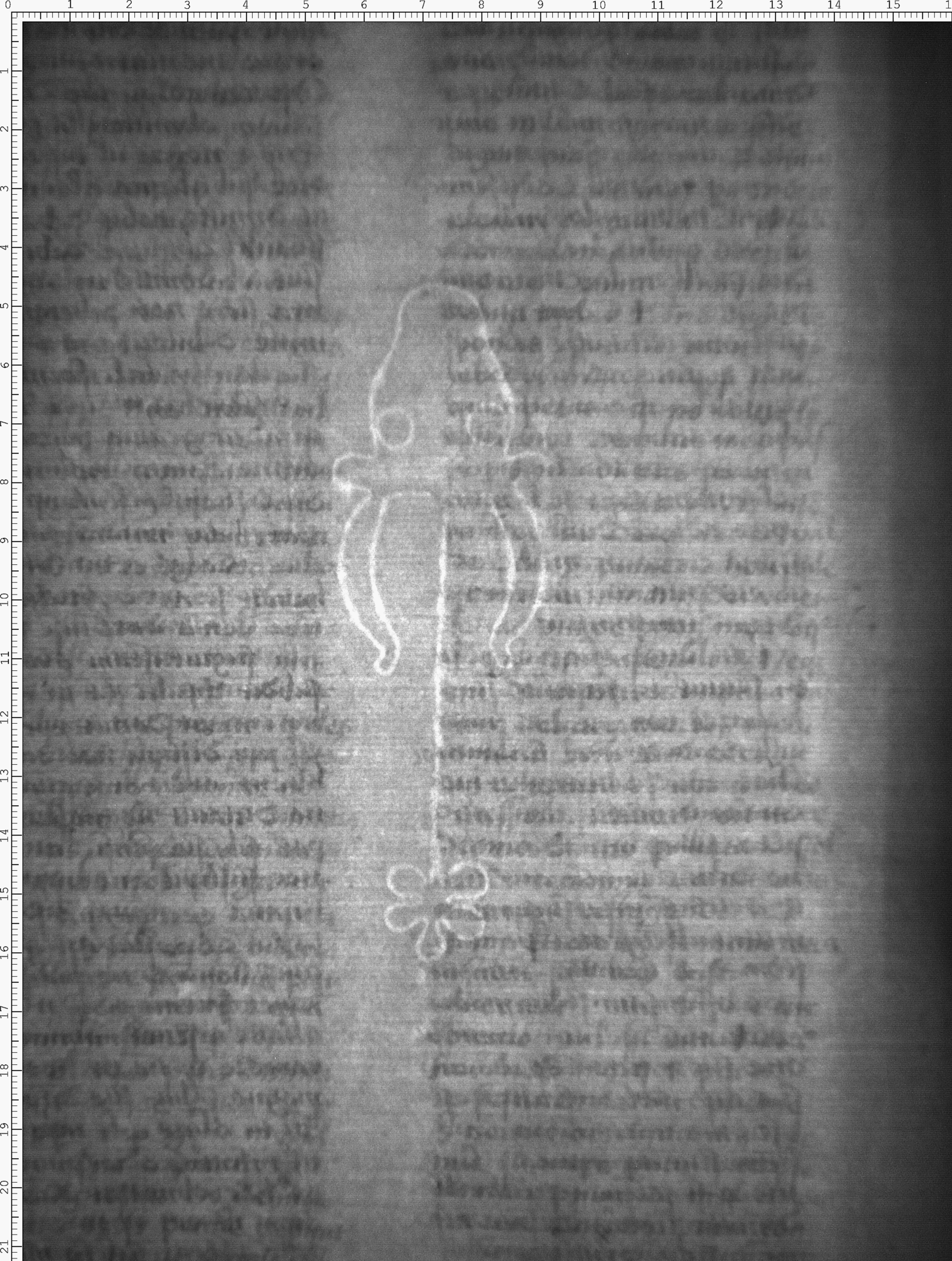 Watermark