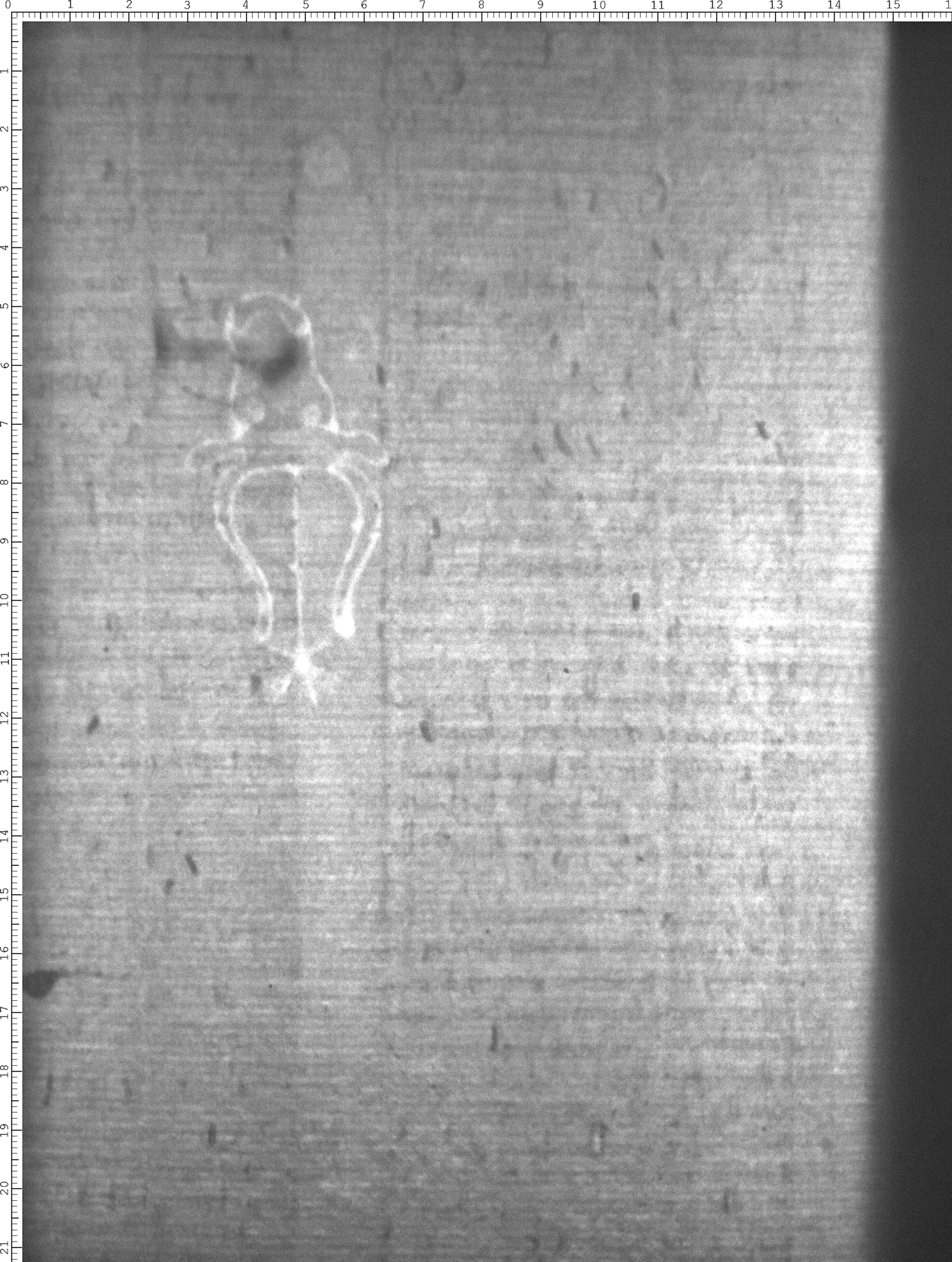 Watermark
