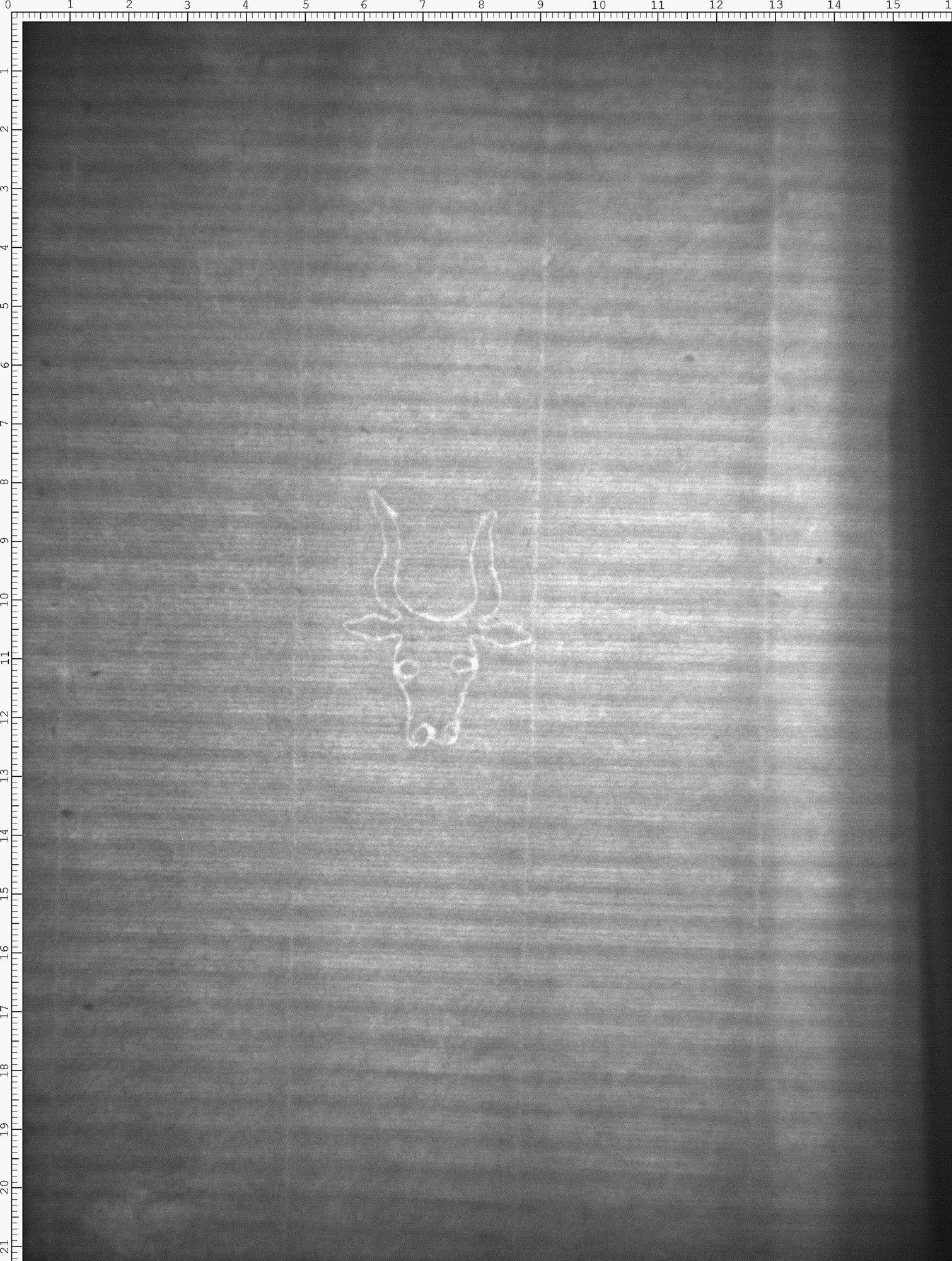 Watermark