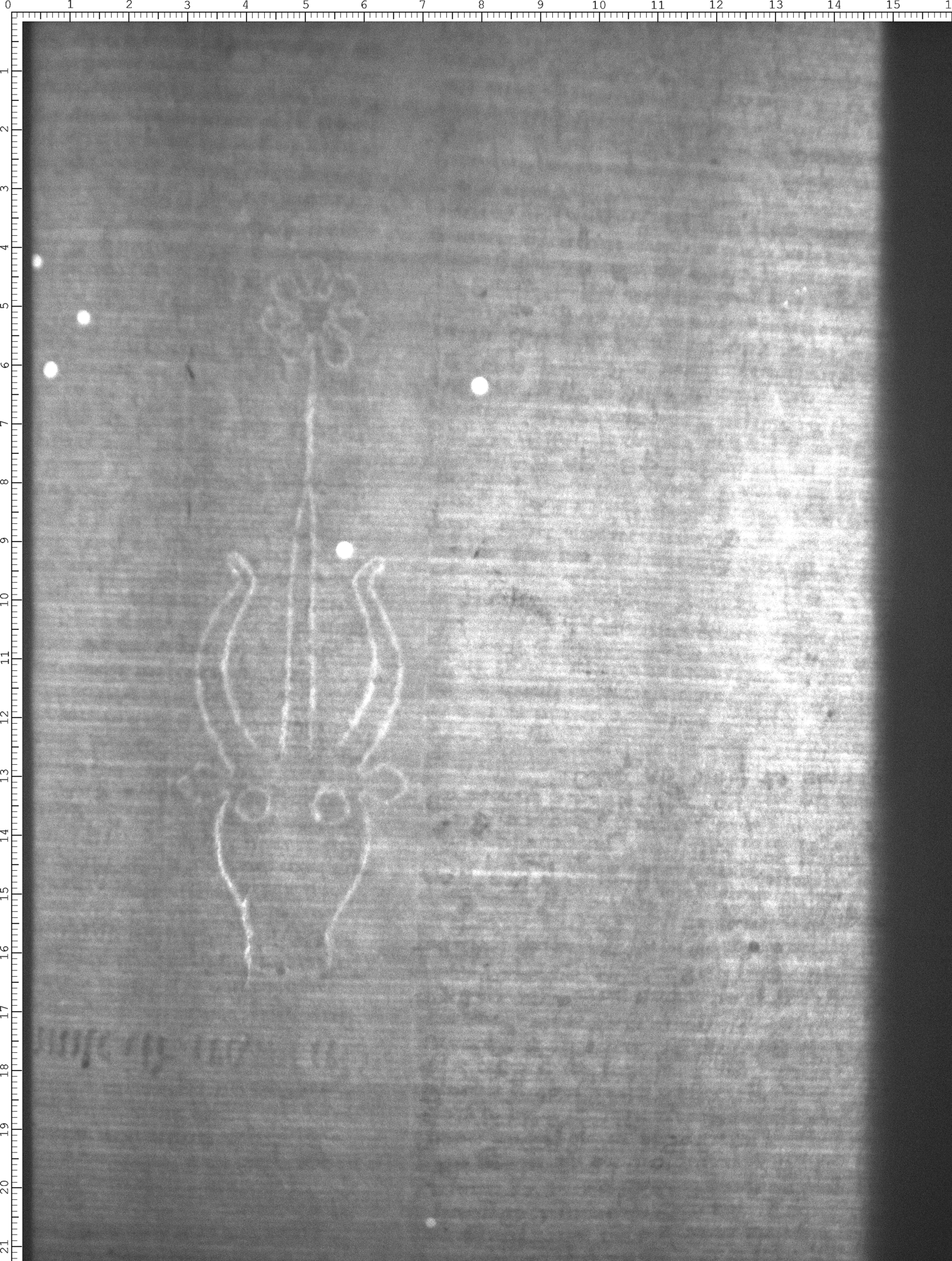 Watermark