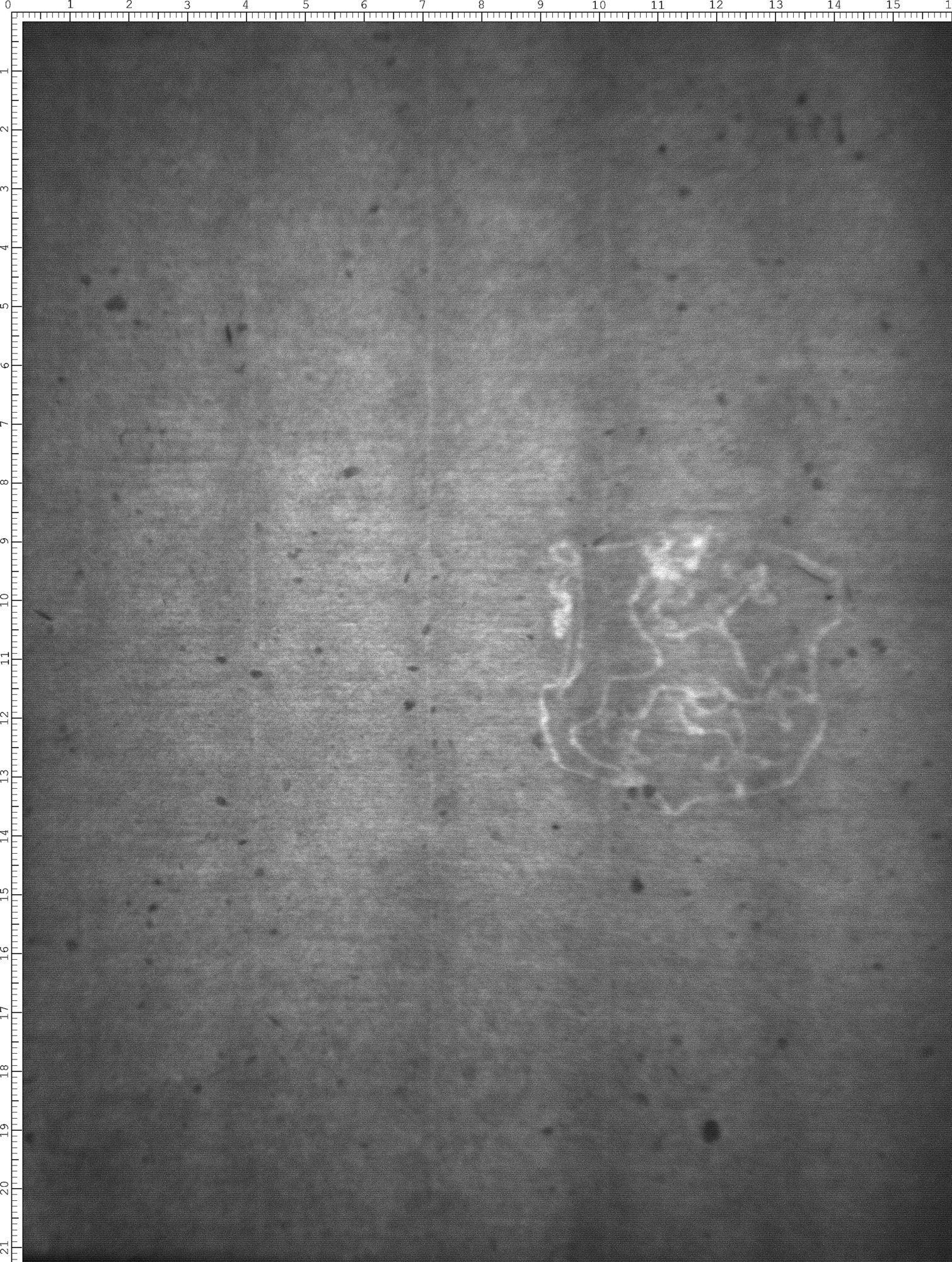 Watermark
