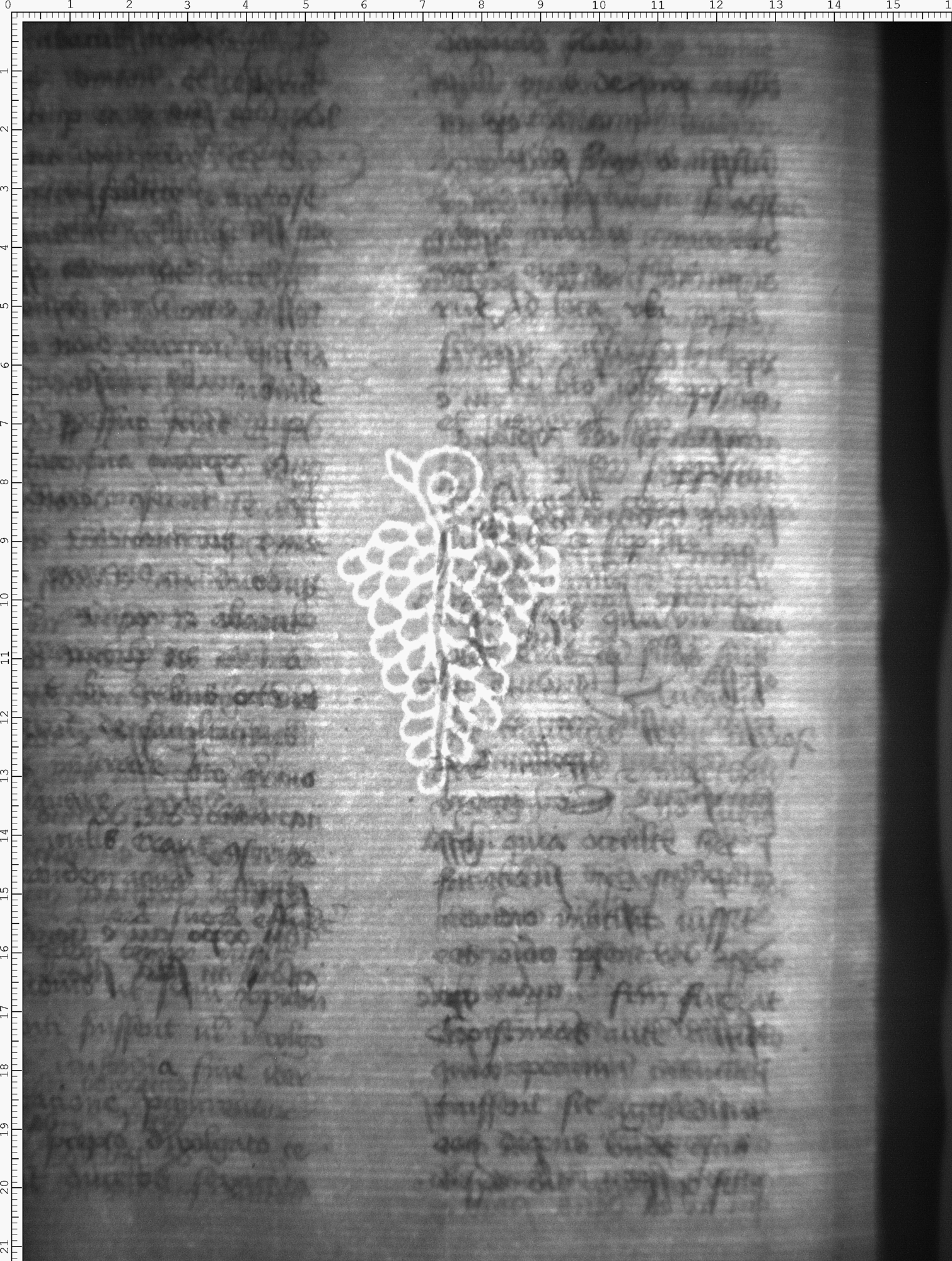 Watermark