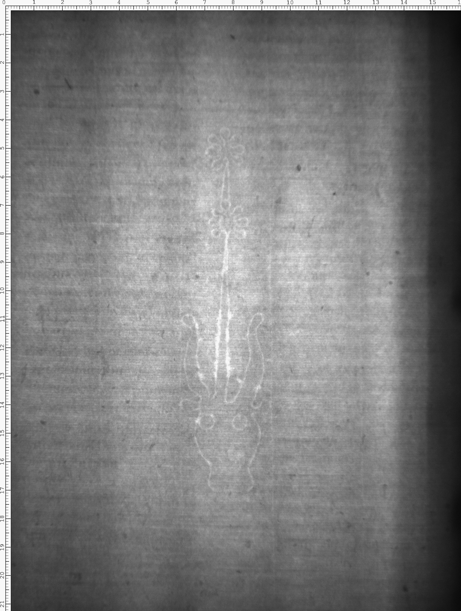 Watermark