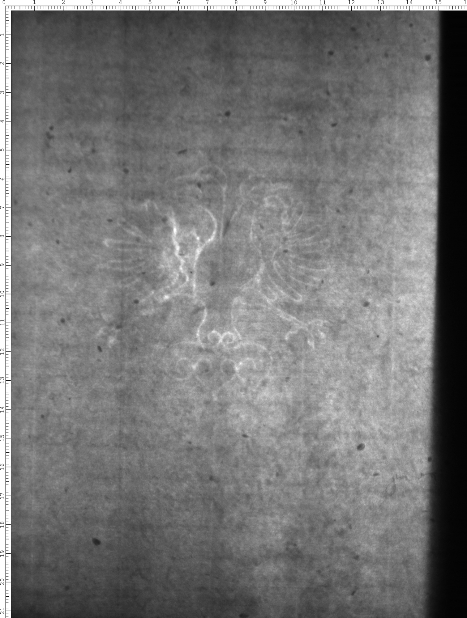 Watermark
