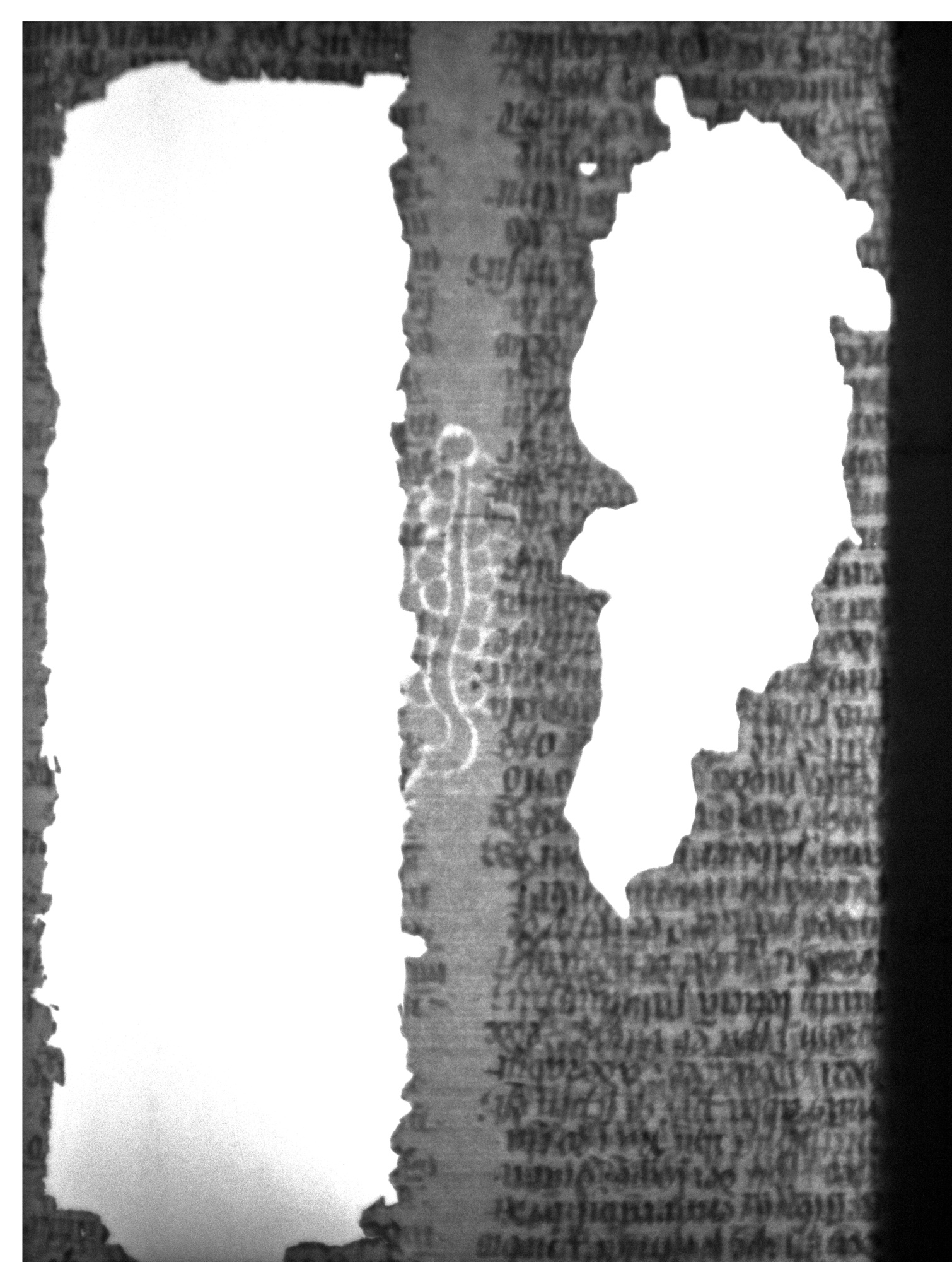 Watermark