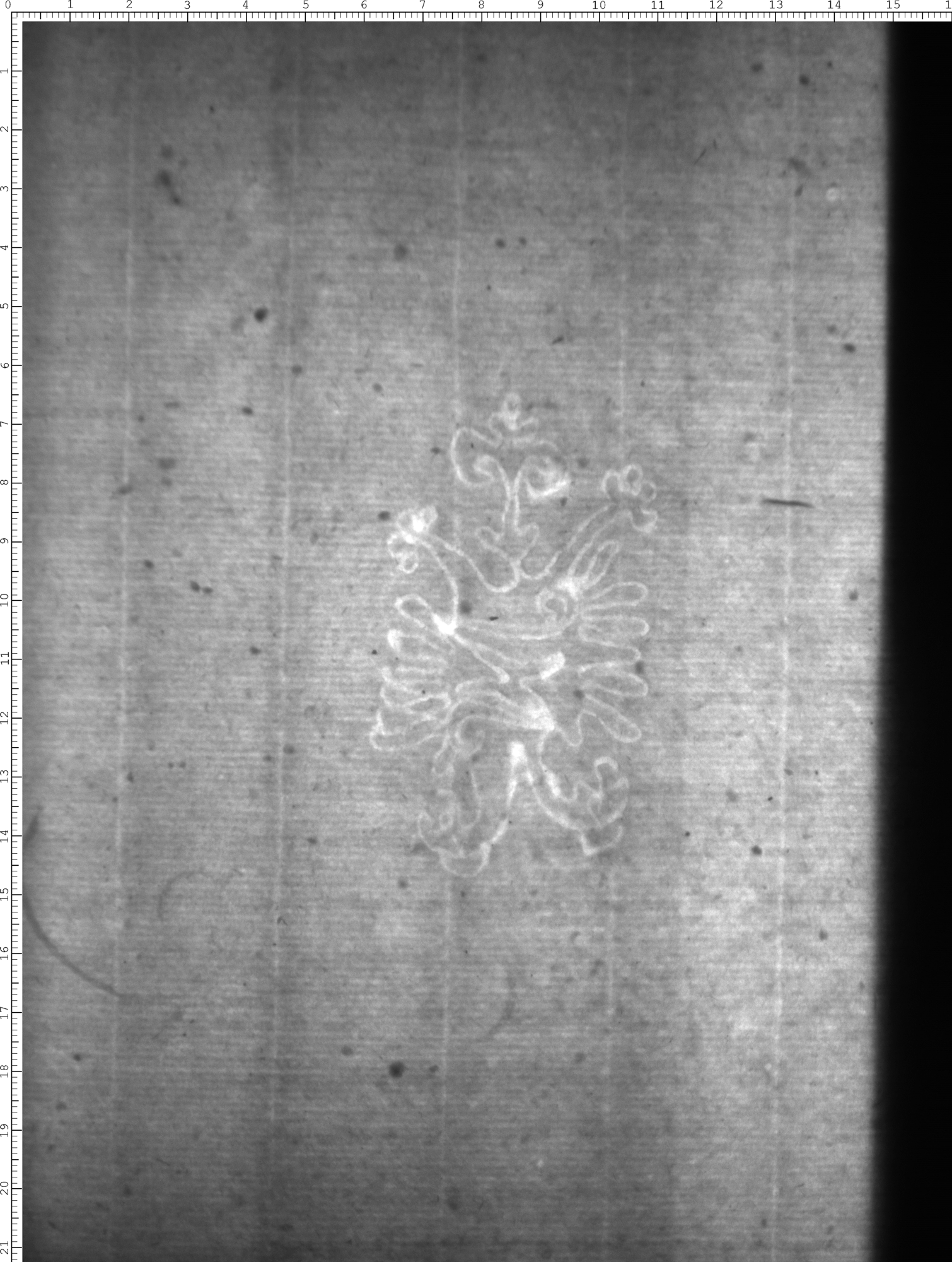 Watermark