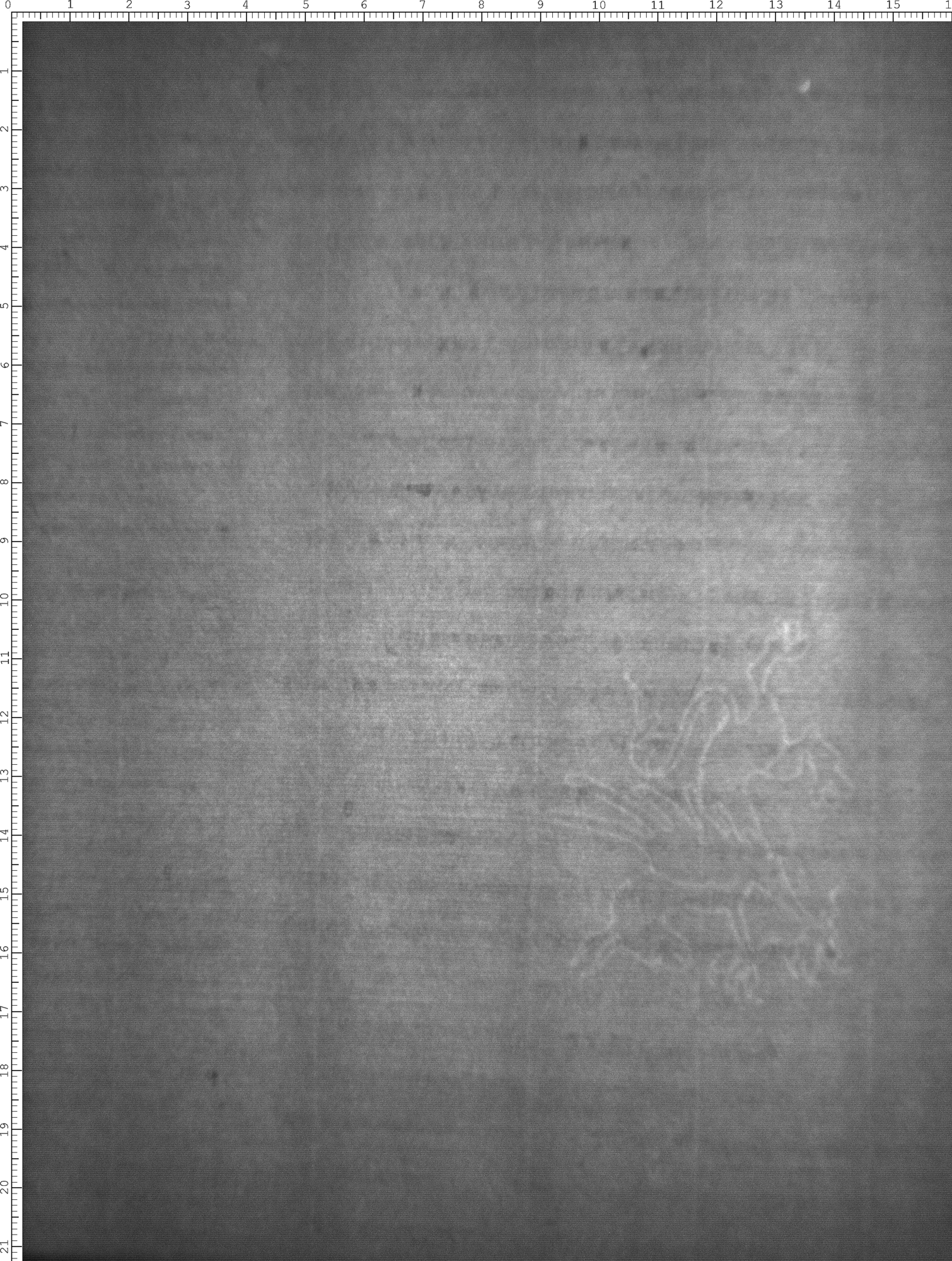 Watermark