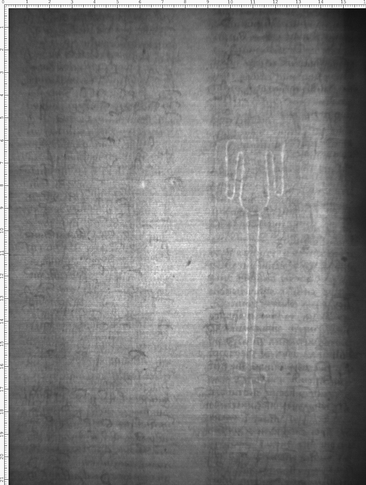 Watermark