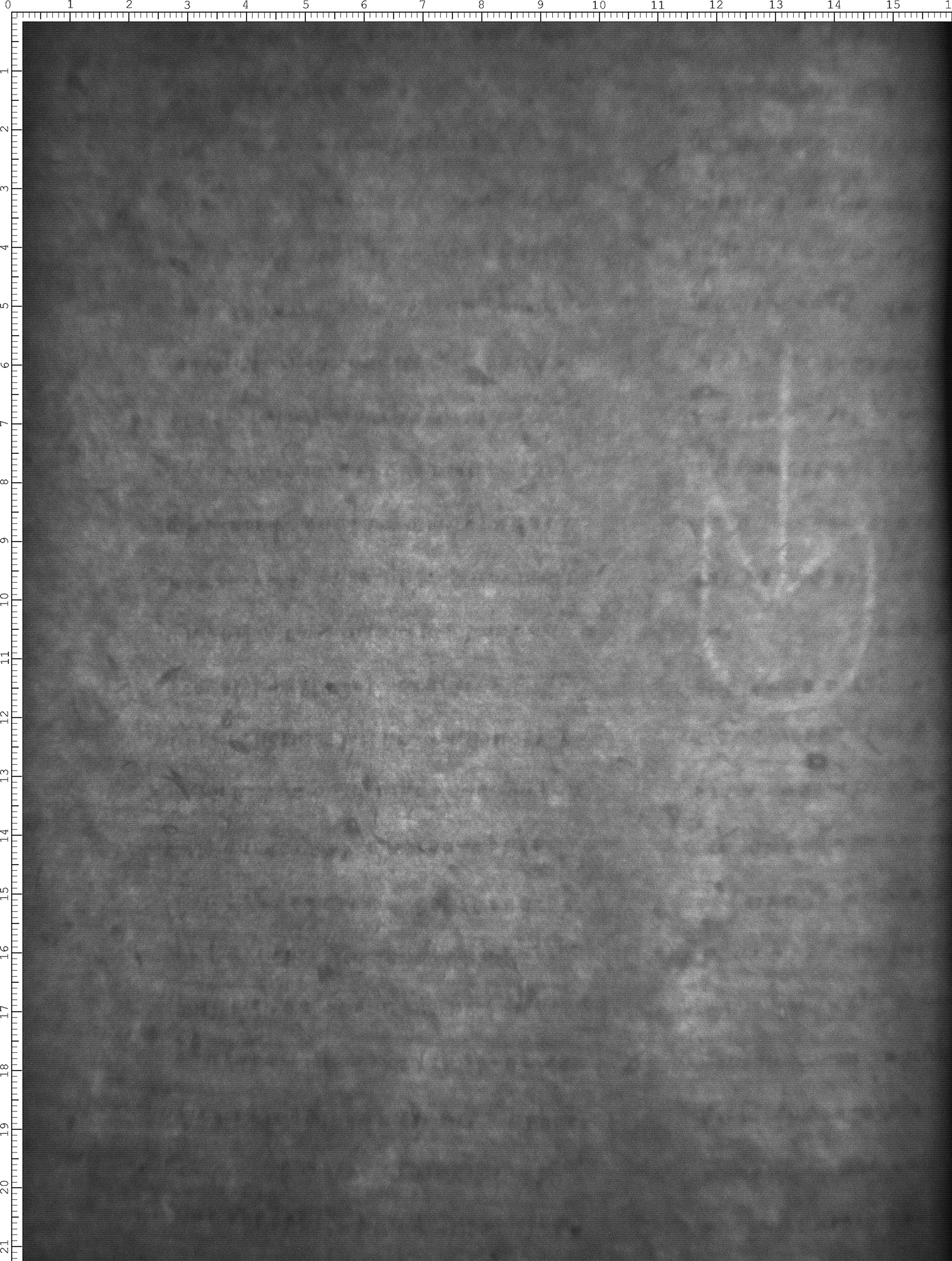 Watermark