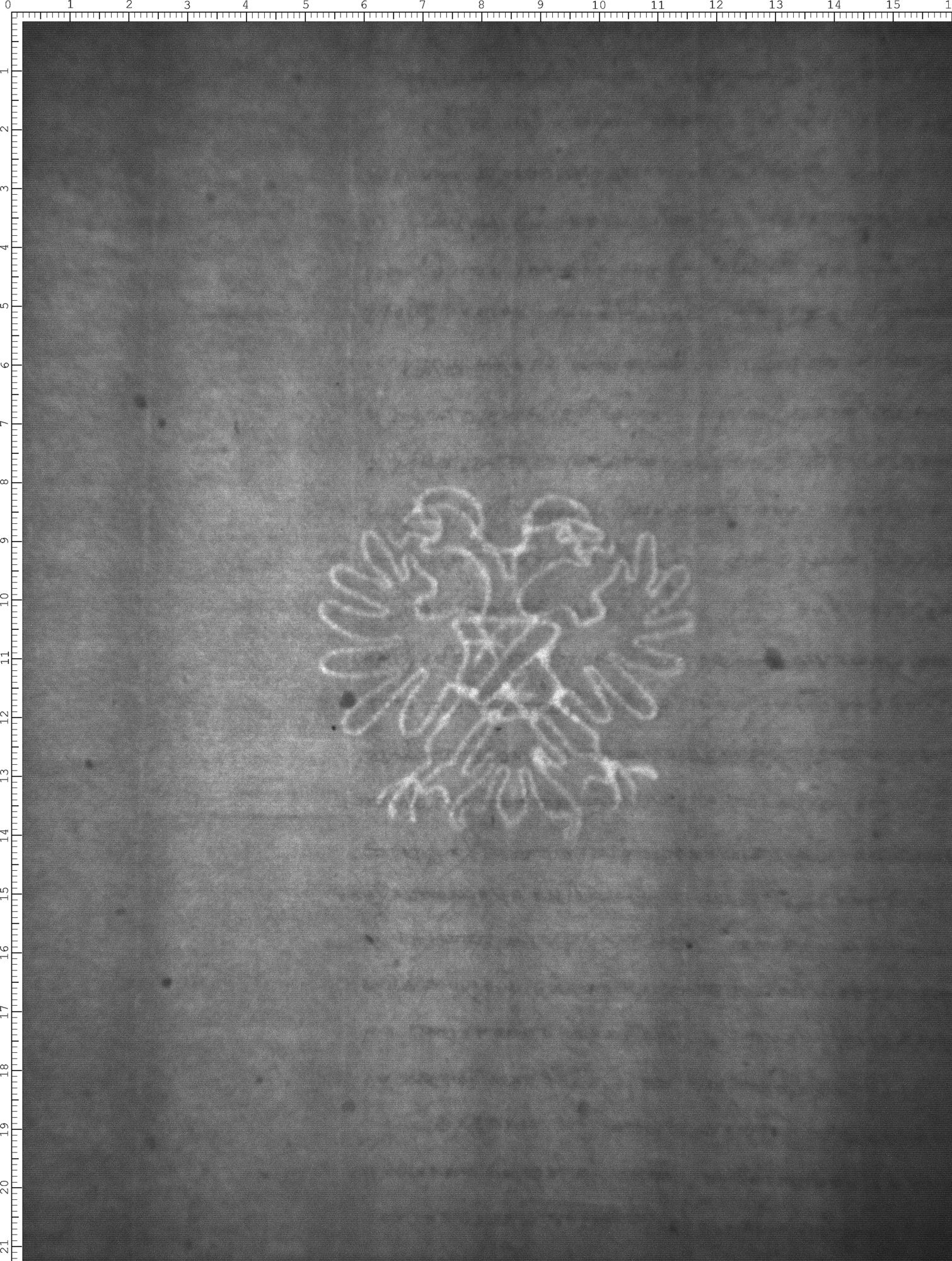 Watermark