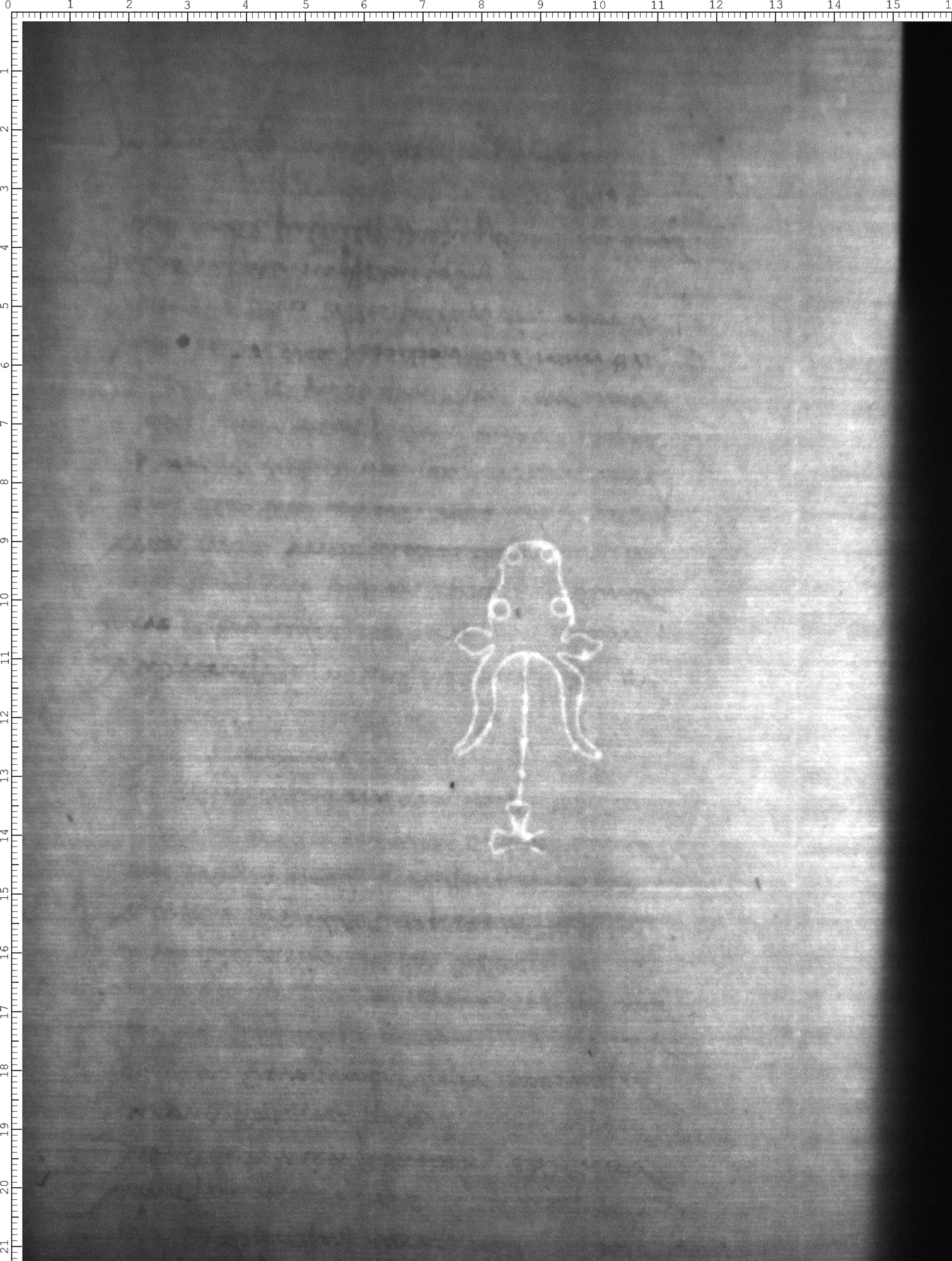 Watermark