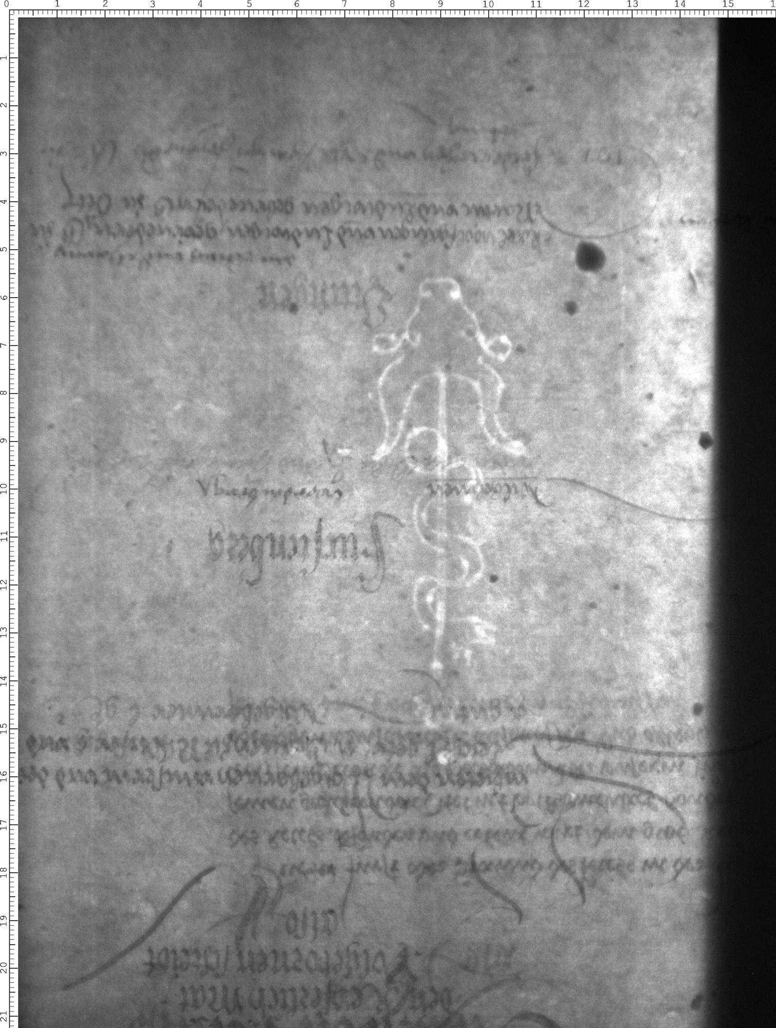 Watermark