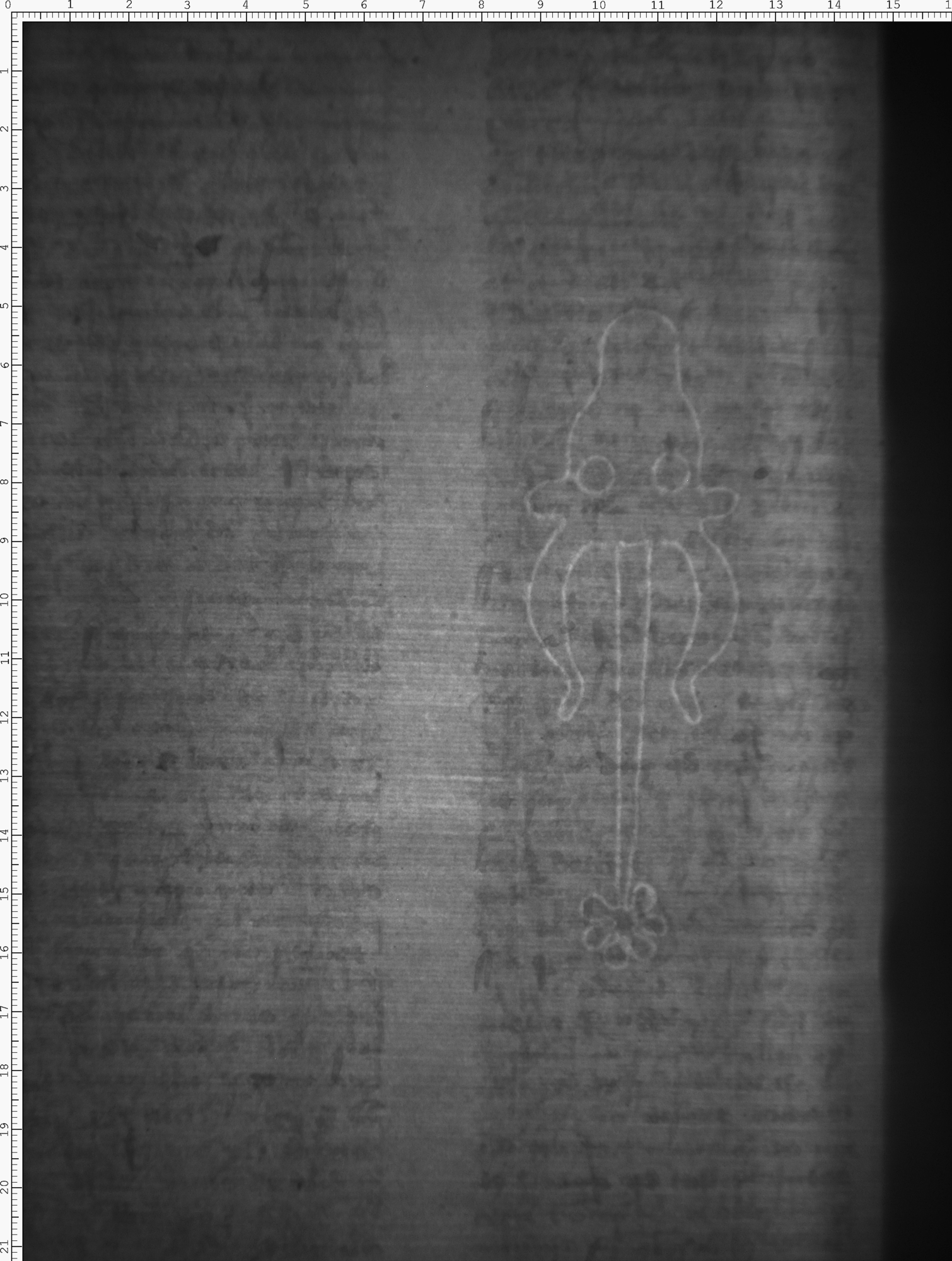 Watermark