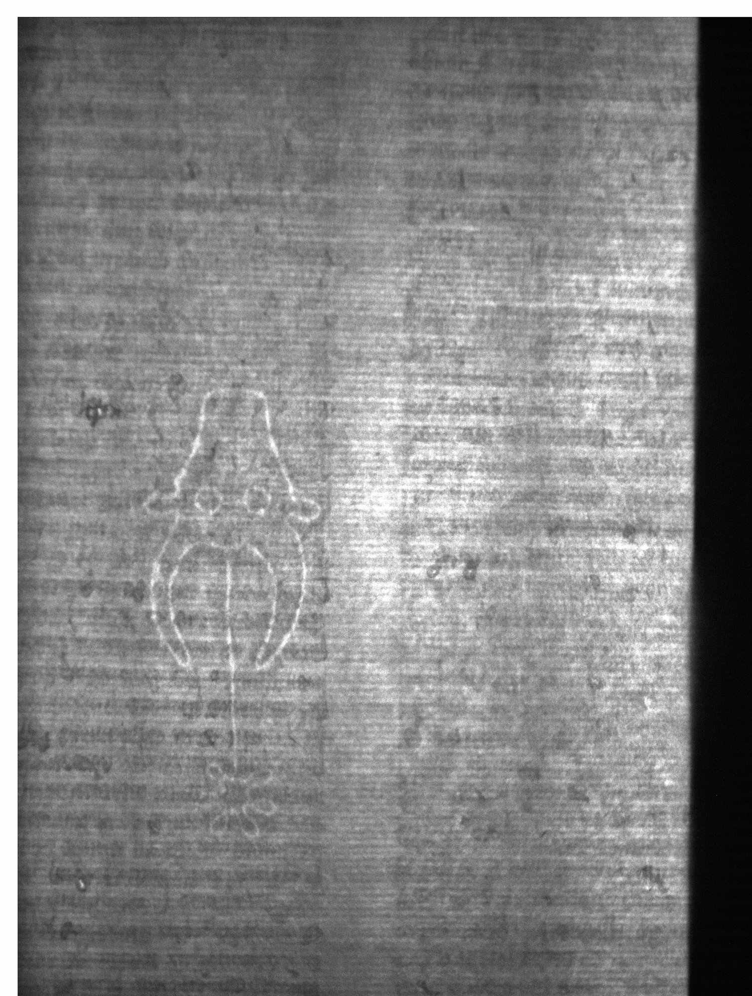 Watermark