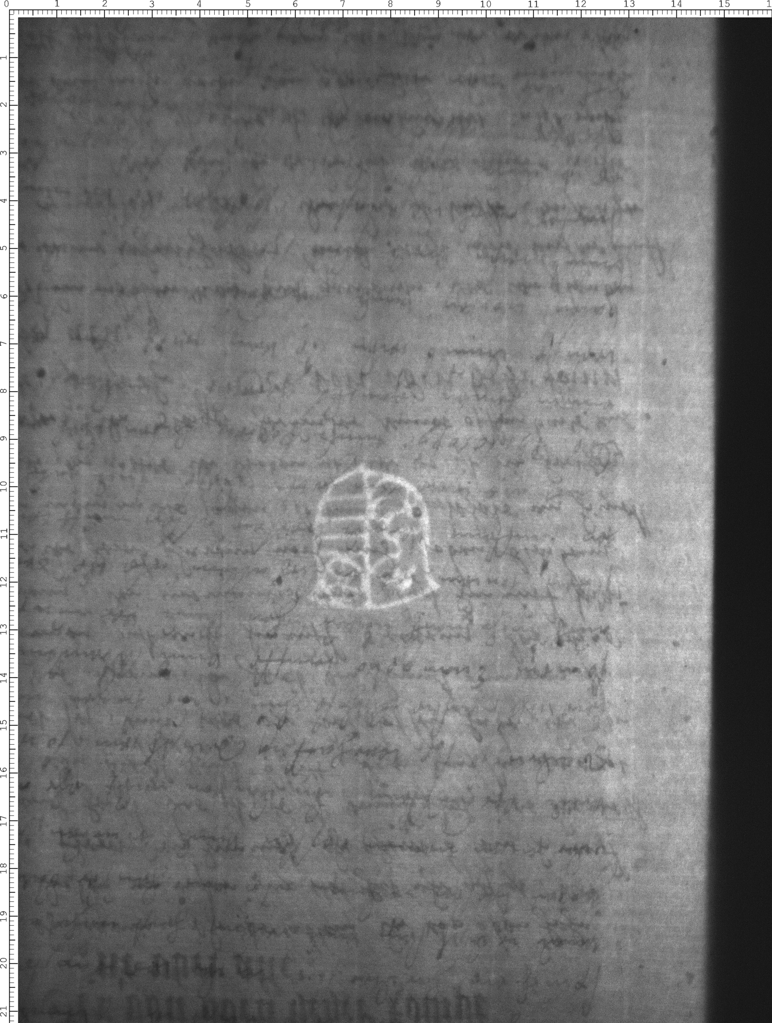 Watermark