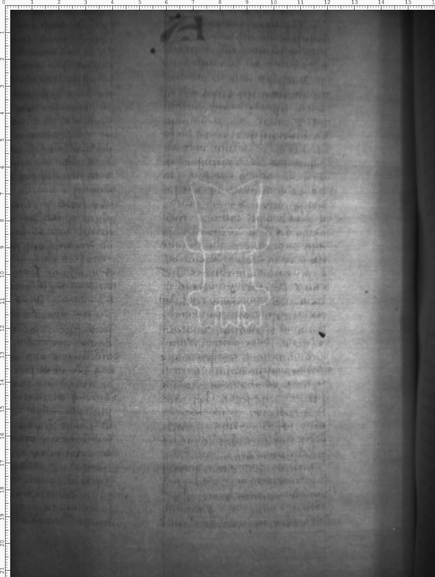 Watermark
