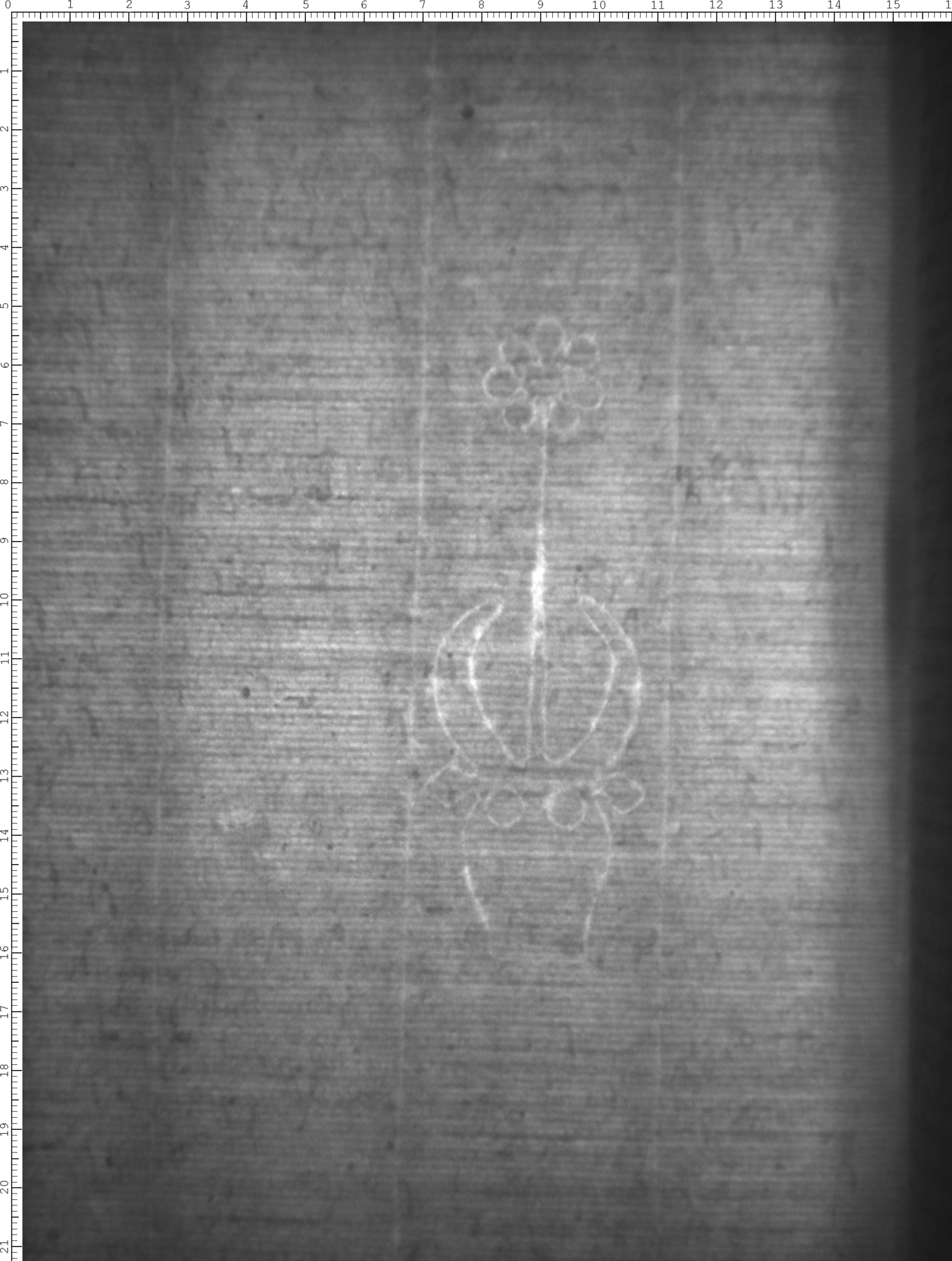 Watermark