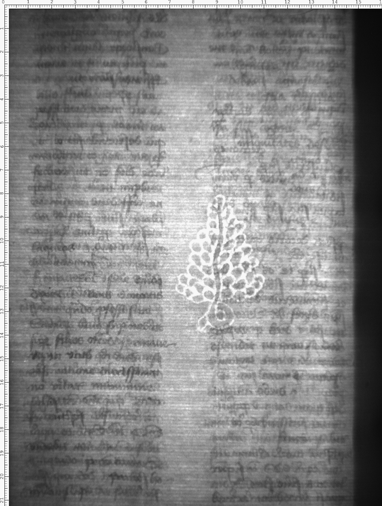 Watermark