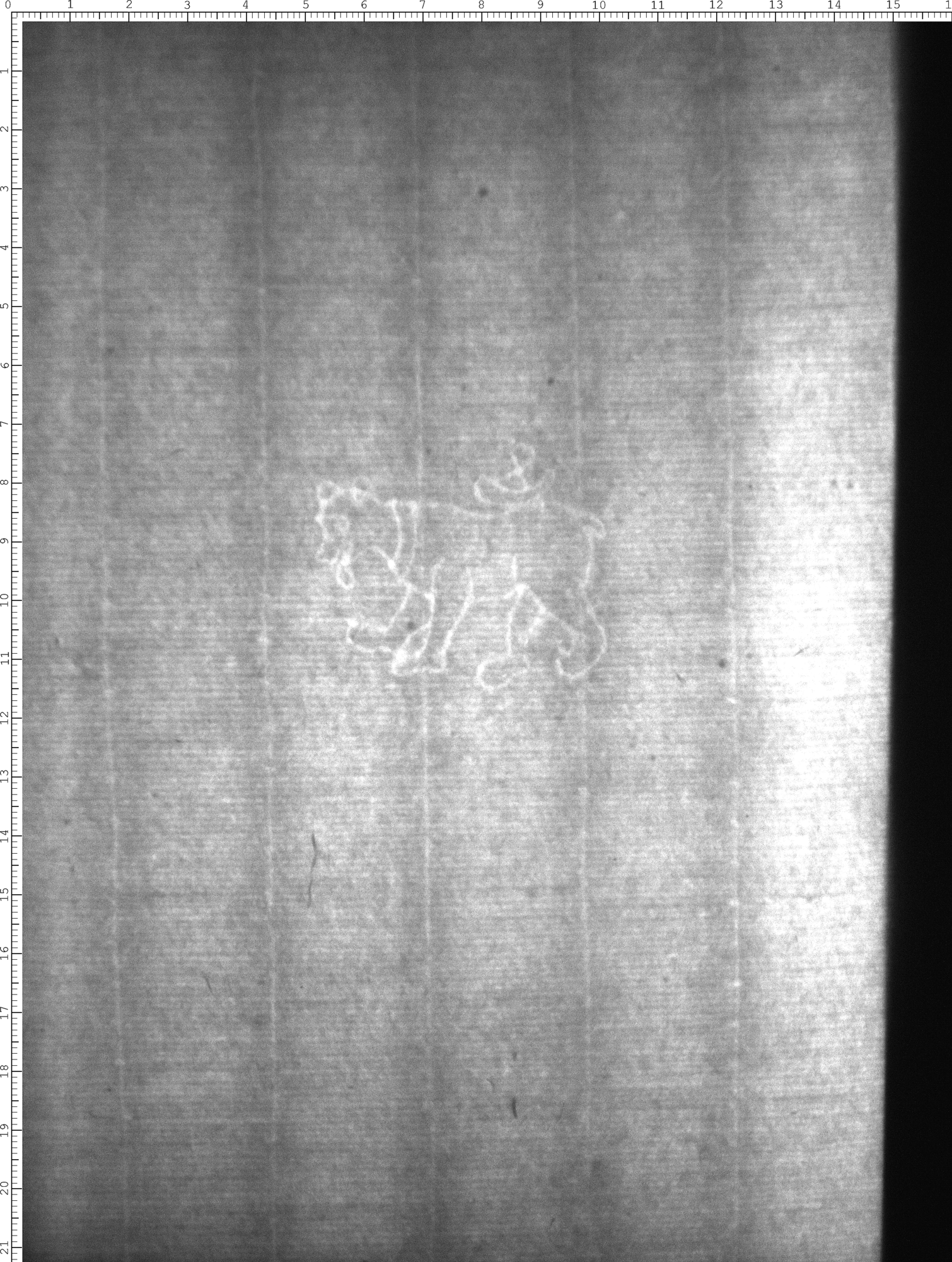 Watermark