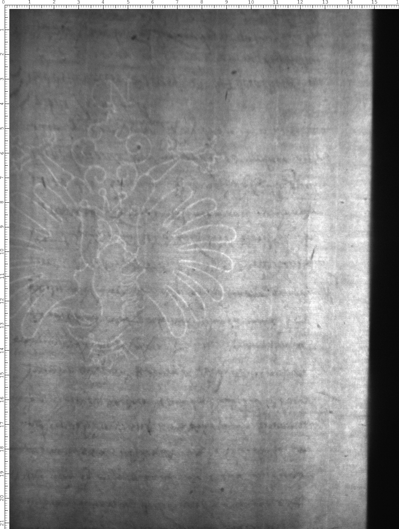 Watermark